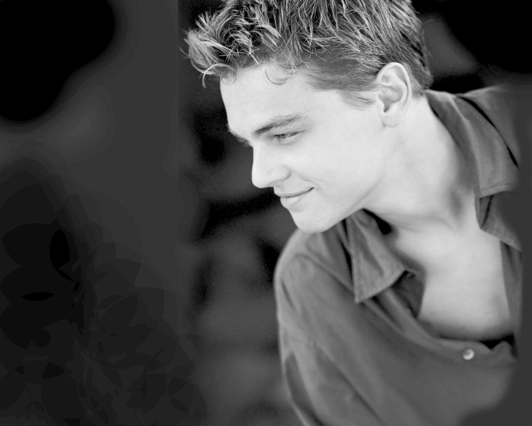Leonardo DiCaprio HD Wallpaper (Desktop Background / Android / iPhone) (1080p, 4k) (2500x2000)