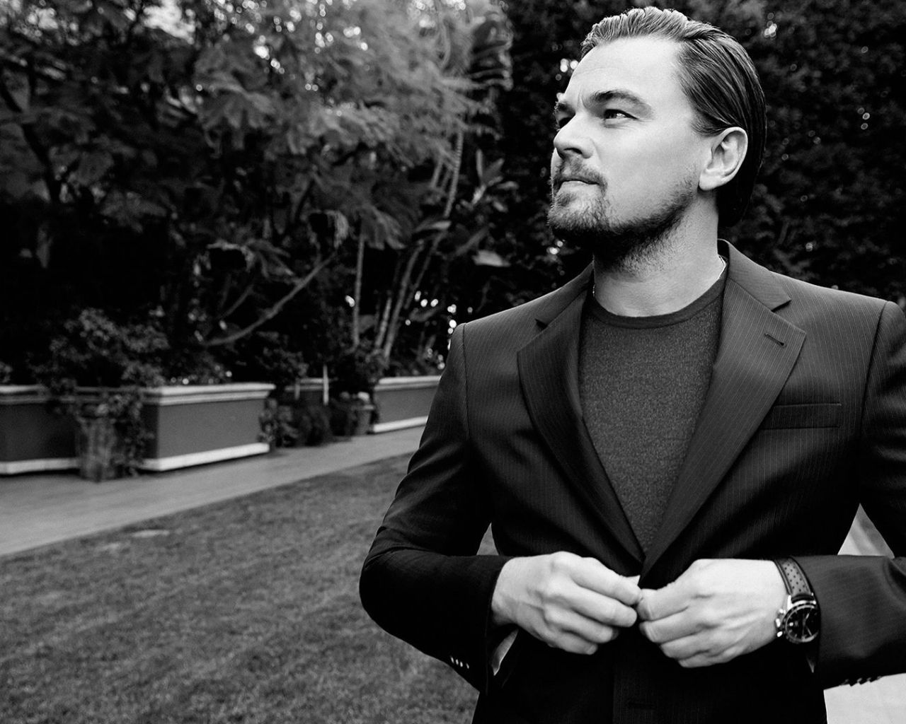 Free download Leonardo Dicaprio HD Wallpaper 50 image collections of [1920x1080] for your Desktop, Mobile & Tablet. Explore Leonardo DiCaprio 2018 Wallpaper. Leonardo DiCaprio 2018 Wallpaper, Titanic Leonardo DiCaprio Wallpaper, TMNT Leonardo
