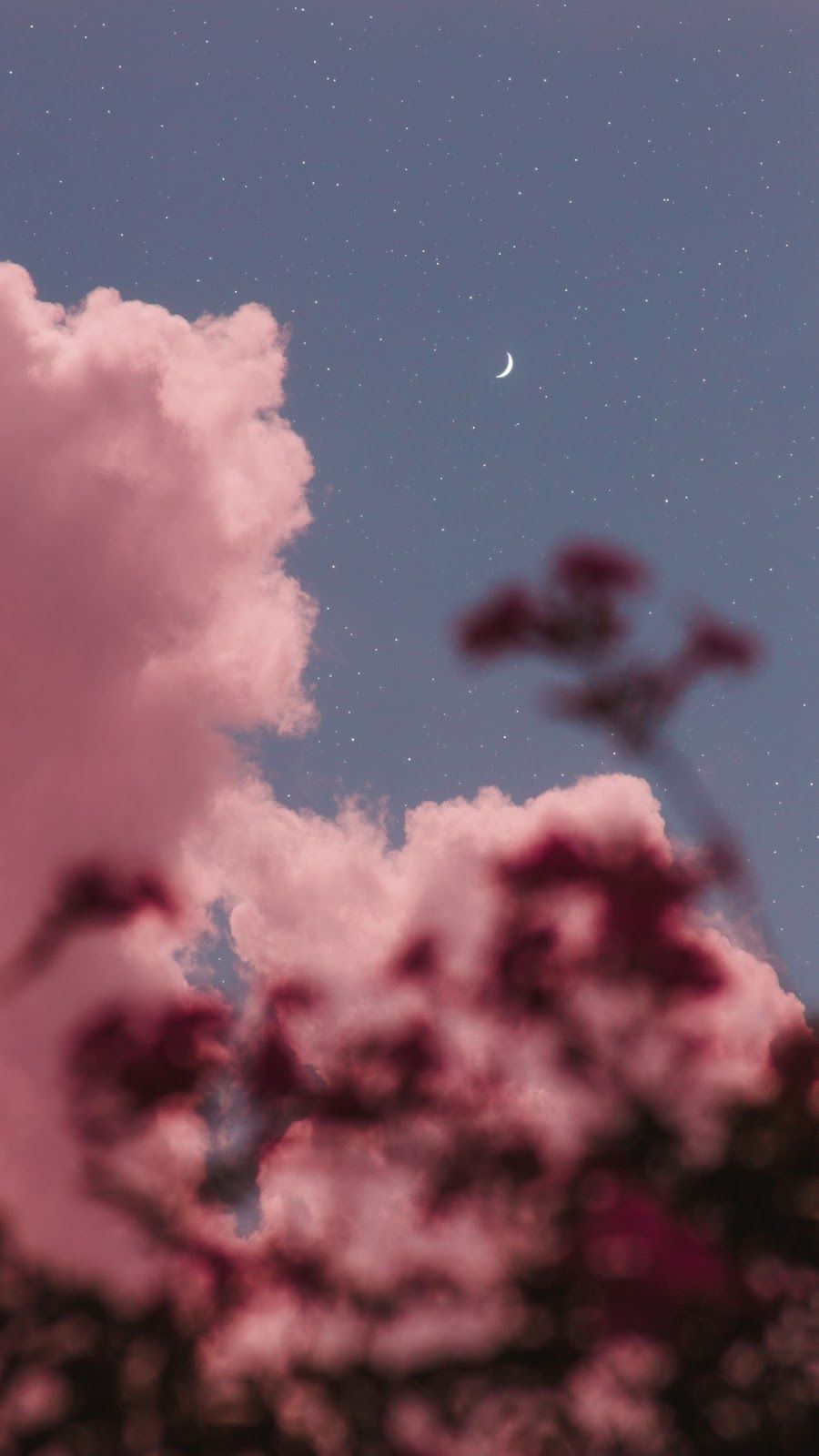 Night sky #wallpaper #iphone #android #background #followme. Night sky wallpaper, Pink flowers wallpaper, Pink walpaper