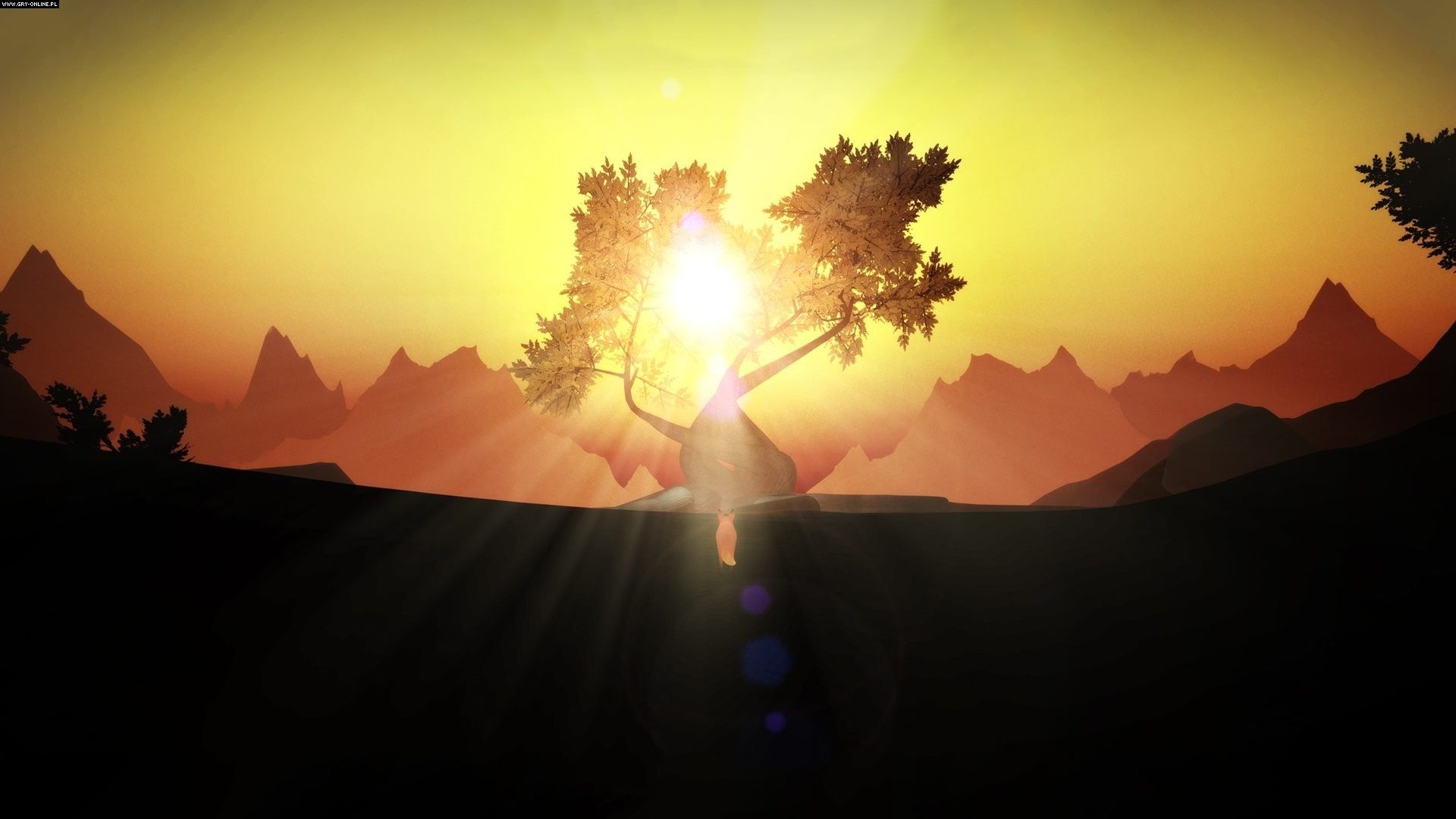 The First Tree Wallpapers Wallpaper Cave