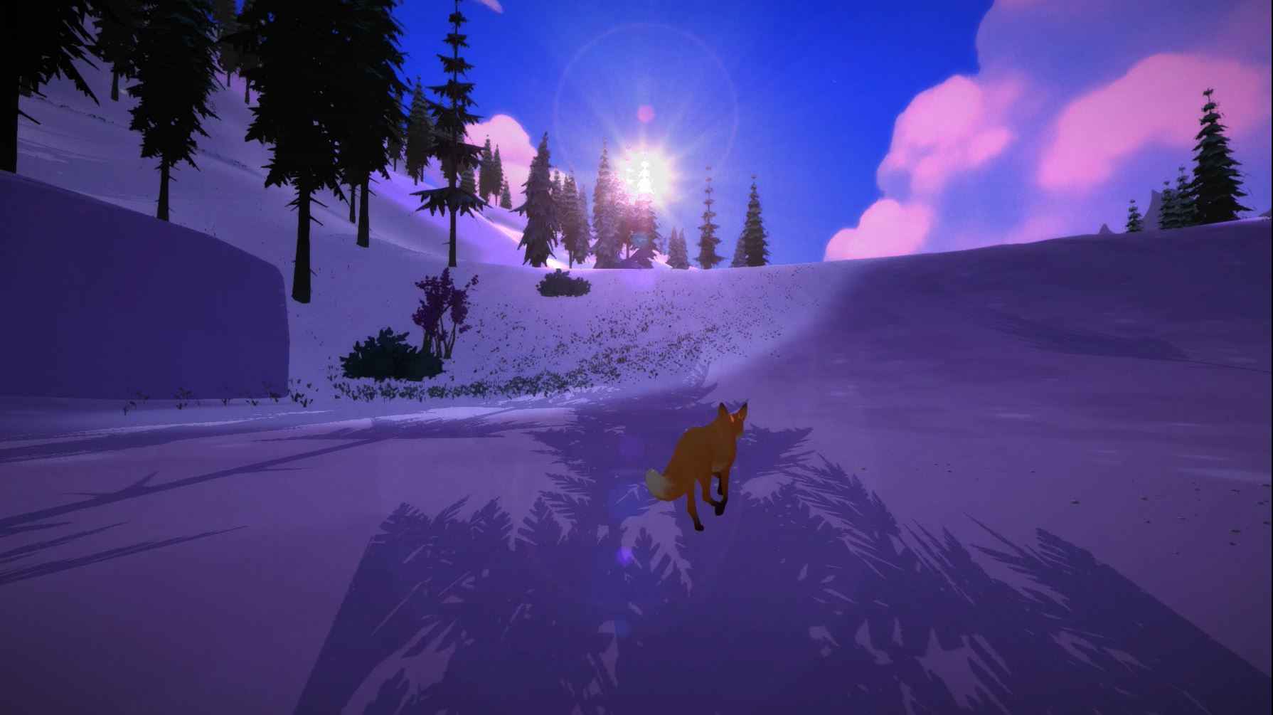 The First Tree Wallpapers Wallpaper Cave