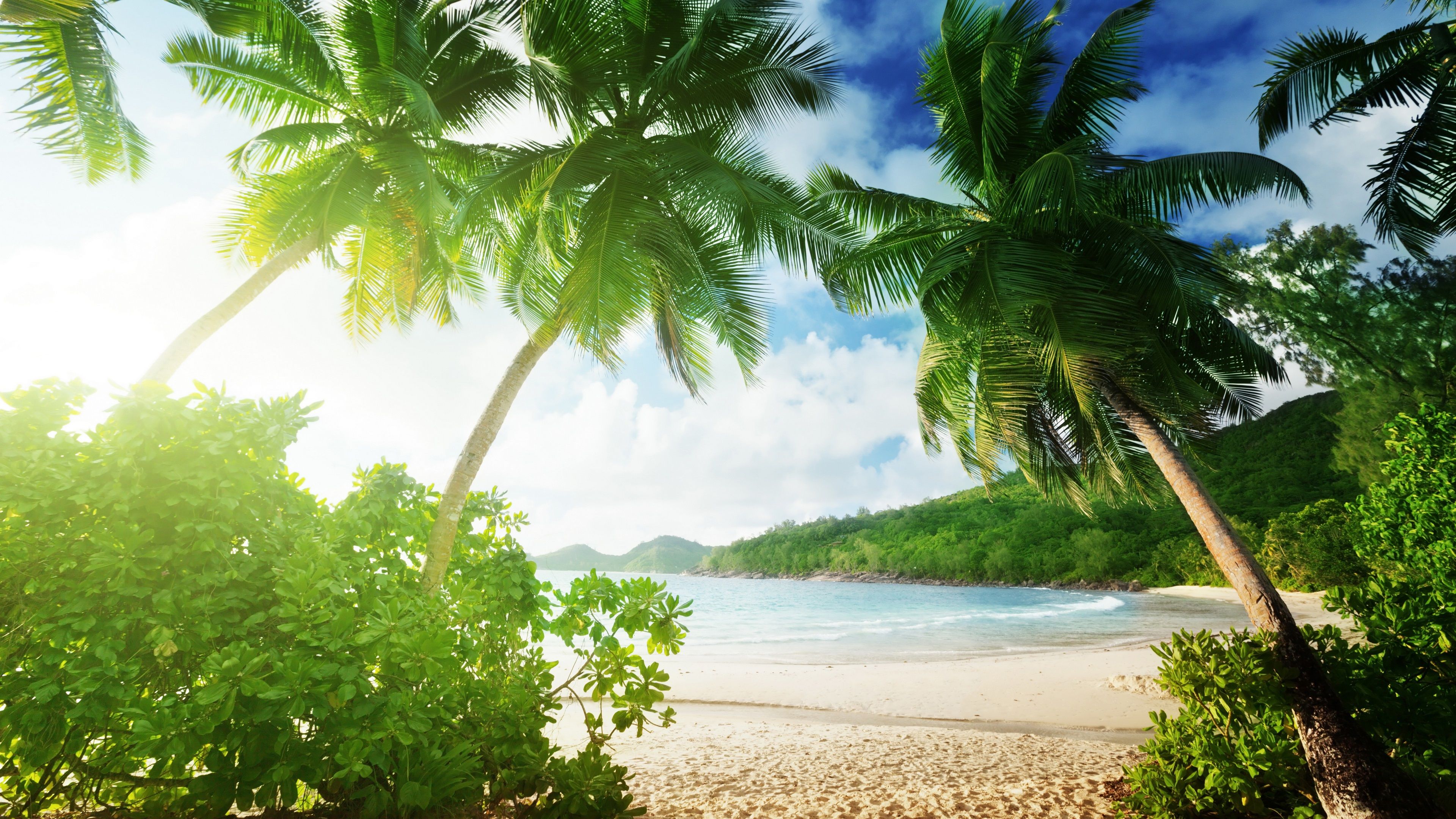 Wallpaper Tropical beach, palm trees, sand, sea, coast, clouds 3840x2160 UHD 4K Picture, Image
