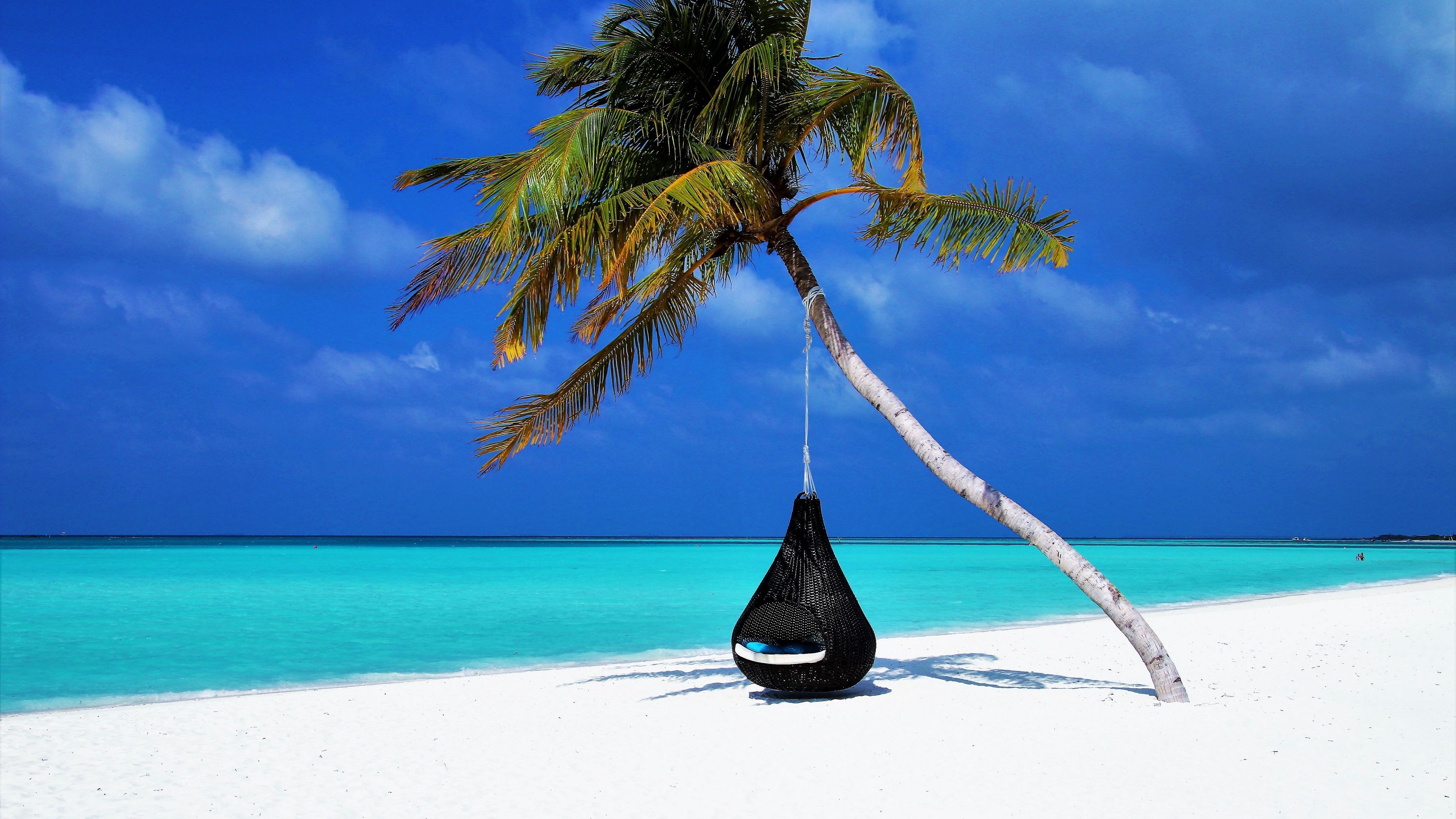 Download wallpaper 3840x2160 maldives, palm, beach, relax, rest, ocean, sand, resort 4k uhd 16:9 HD background