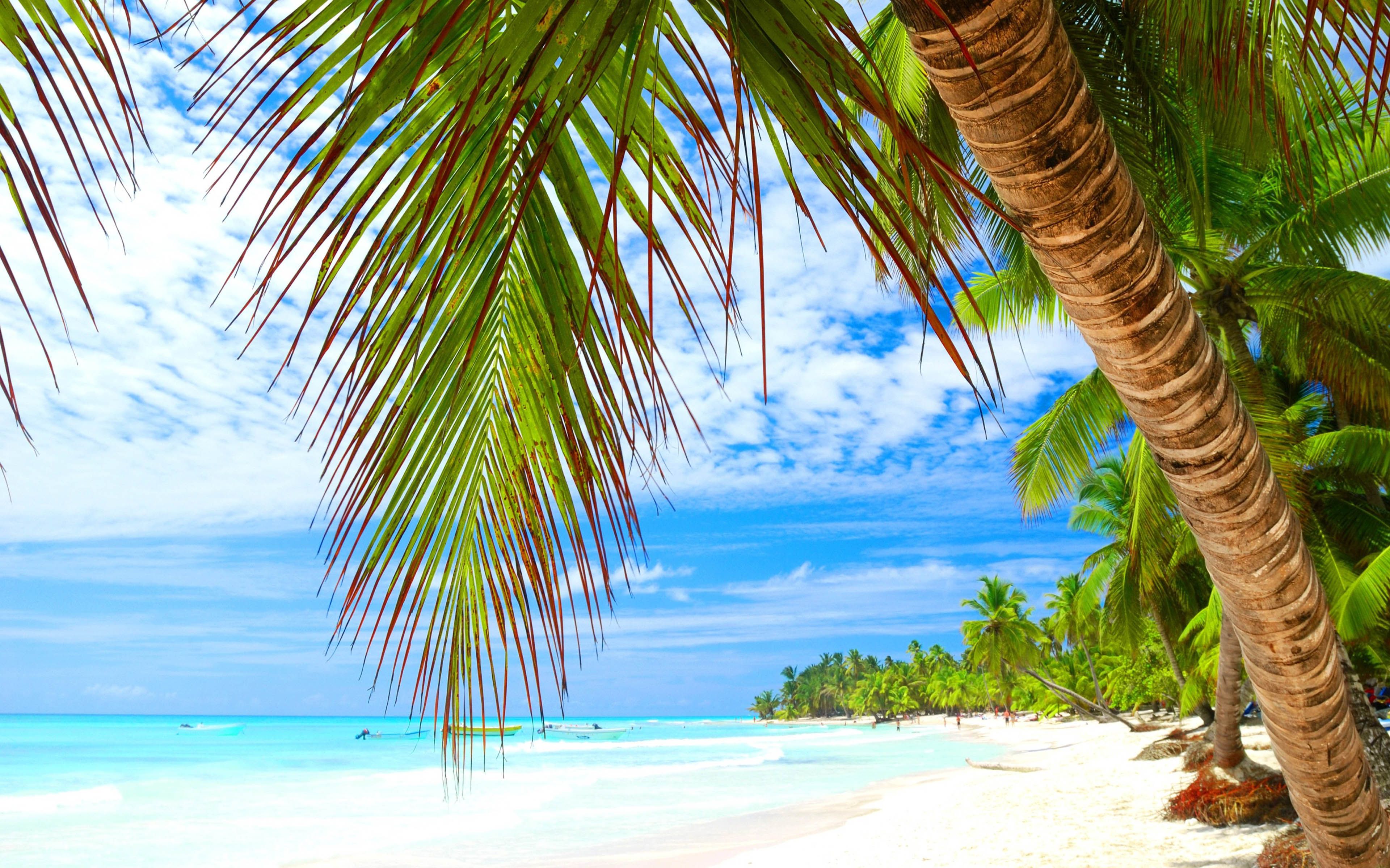 Tropical Island Vacation Sea Water Sky Sun Palm Beach Sand 4k Wallpaper HD Image For Desktop And Mobile 3840x2400, Wallpaper13.com