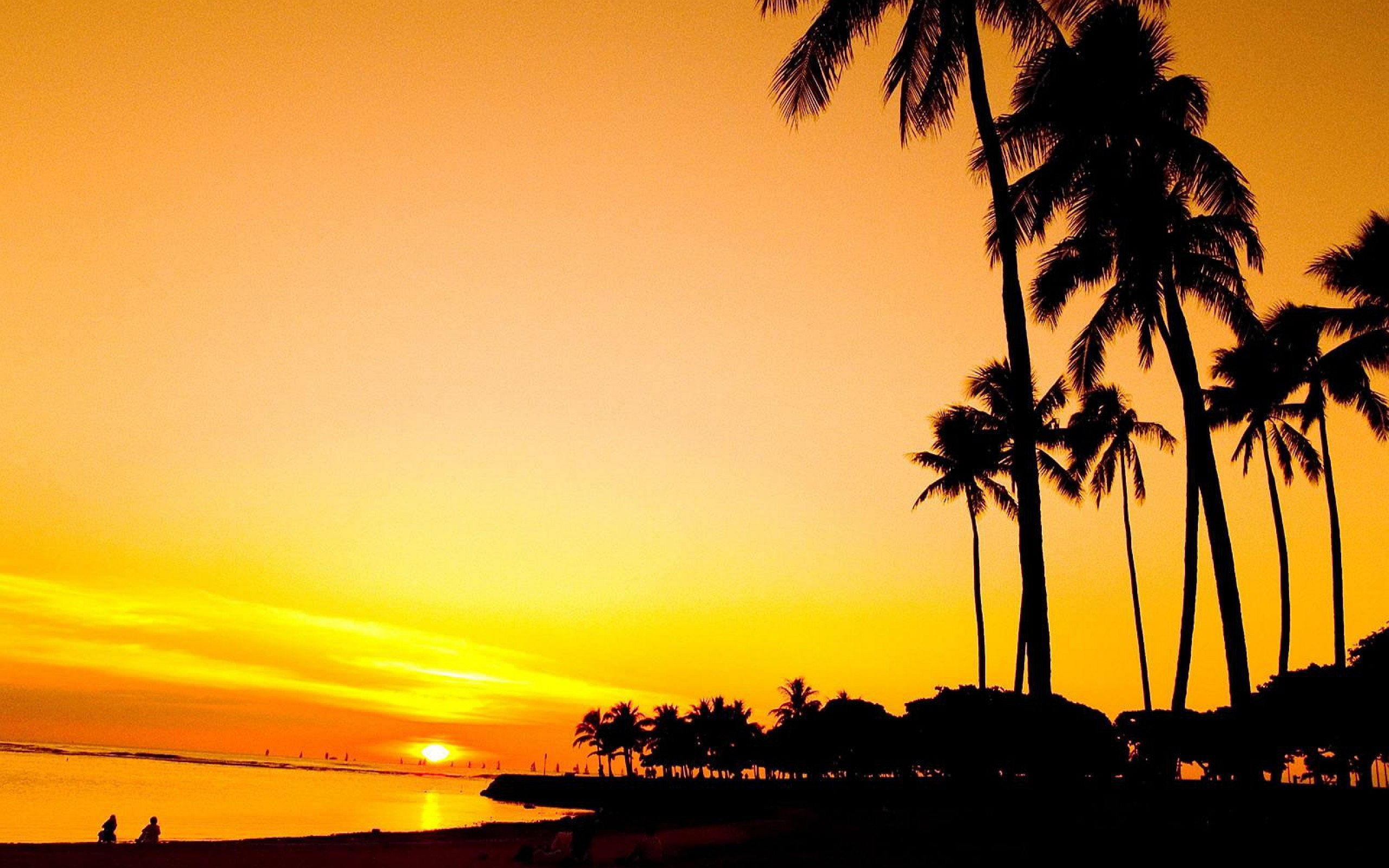 Free download Sunset Palm Beach wallpaper 2560x1600 32113 [2560x1600] for your Desktop, Mobile & Tablet. Explore Palm Beach Wallpaper. Palm Beach Wallpaper, Palm Tree Beach Wallpaper, Beach Palm Trees Wallpaper