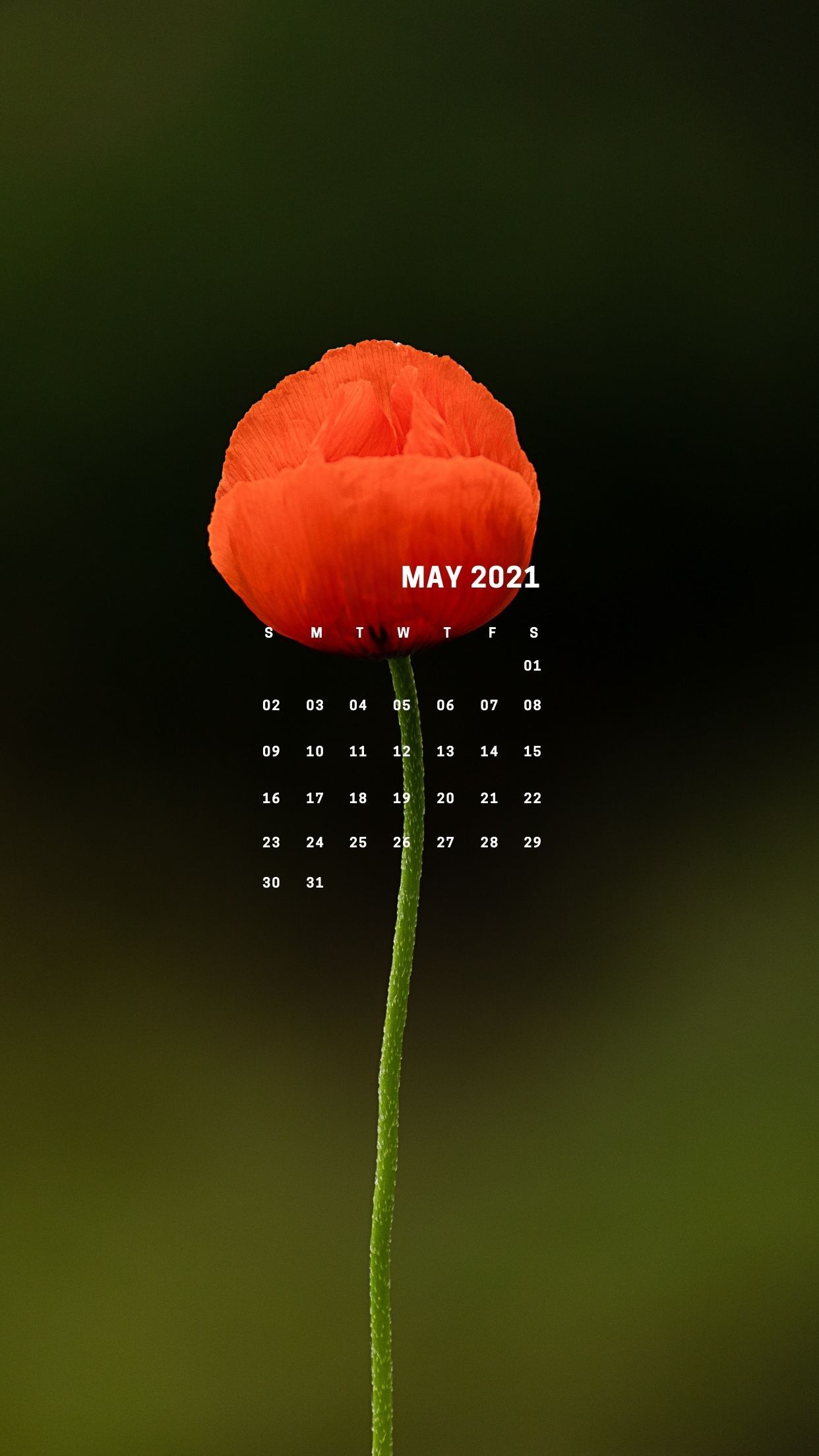 May 2021 Calendar