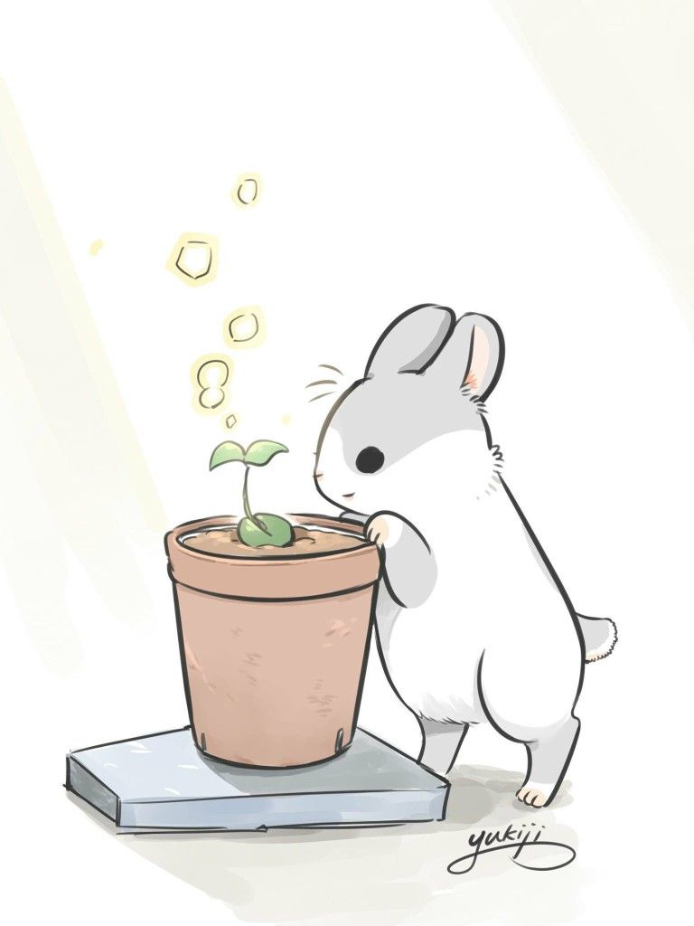 ㄇㄚˇ幾兔 machiko. Bunny wallpaper, Cute drawings, Rabbit wallpaper