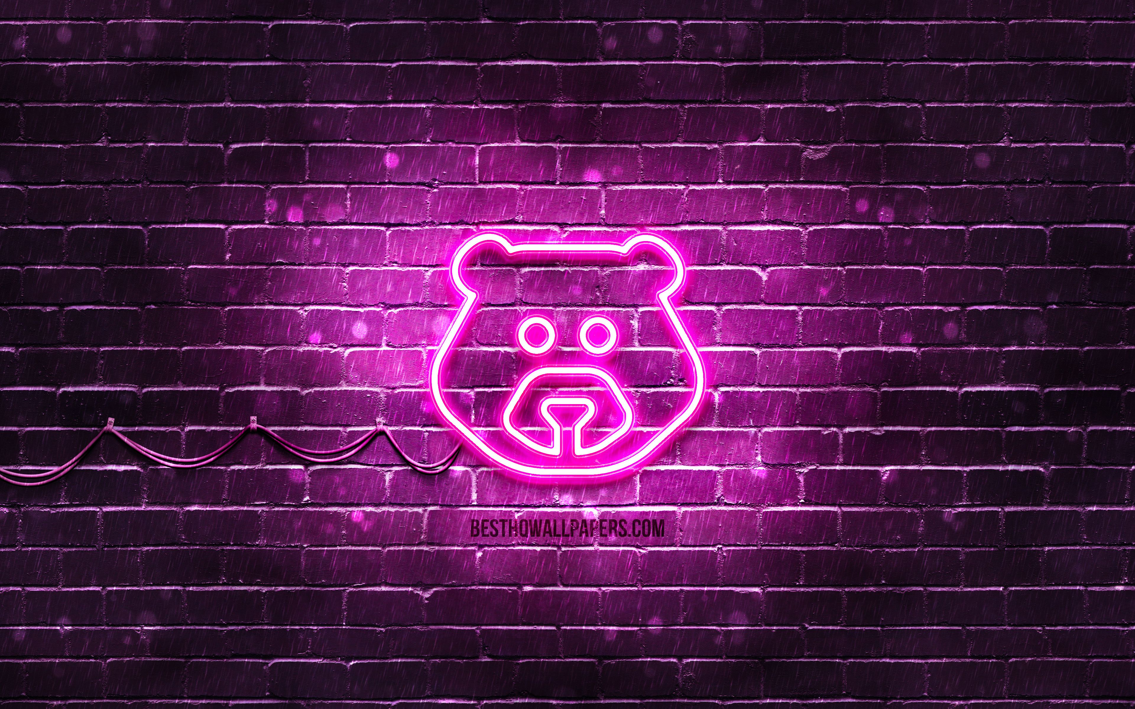 Download wallpaper Bear neon icon, 4k, purple background, neon symbols, Bear, creative, neon icons, Bear sign, animals signs, Bear icon, animals icons for desktop with resolution 3840x2400. High Quality HD picture wallpaper