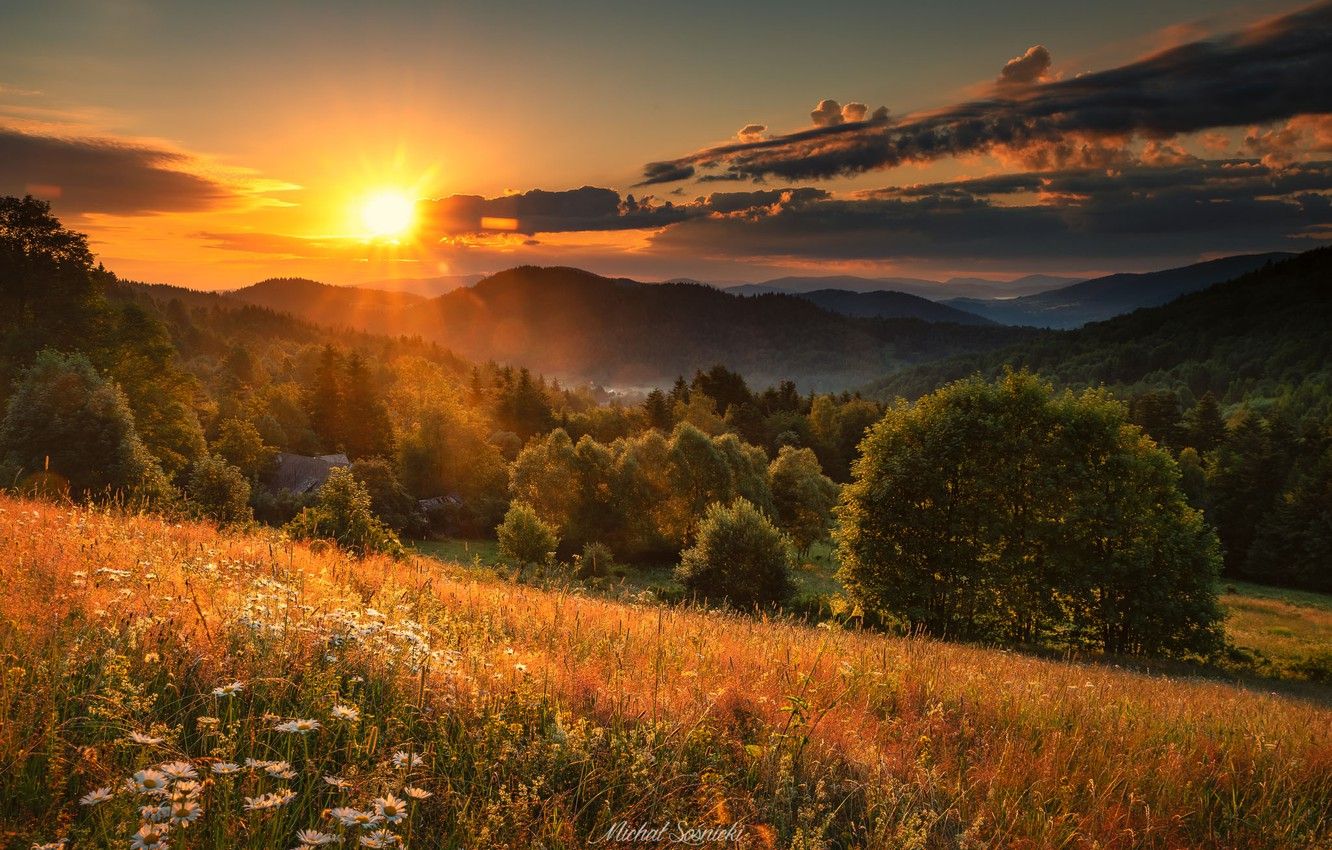 Wallpapers the sun, trees, sunset, meadow image for desktop, section пейзаж...