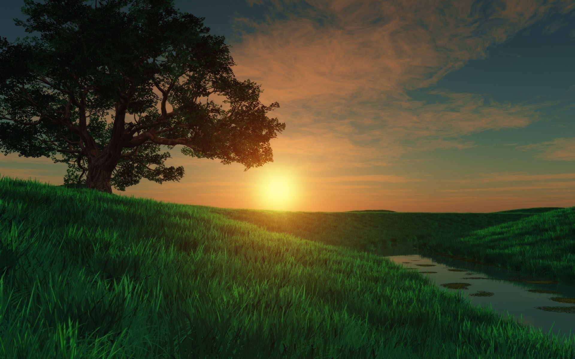 Sunset Meadow Wallpapers Wallpaper Cave