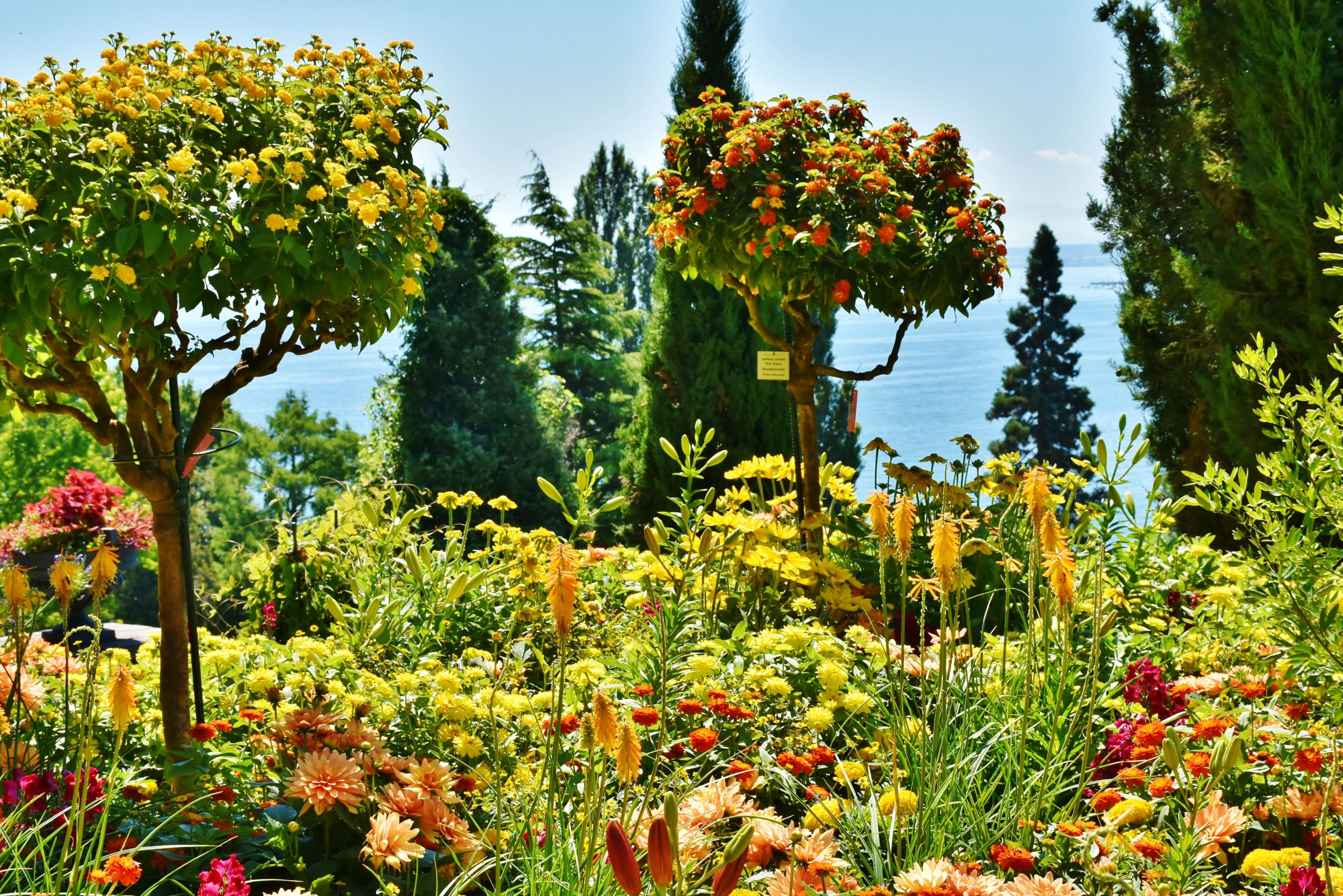 flowers, island, lake, lake constance, mainau, panorama, park, places of interest, plant, planted, stairs, summer, tourism, view, water, water feature 4k wallpaper