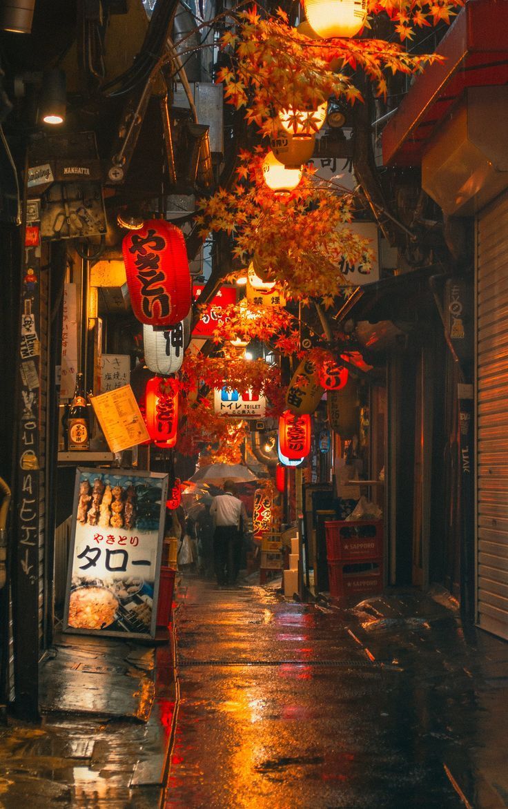 Omoide Yokocho in Autumn Tokyo Japan. Aesthetic japan, Japan photography, Tokyo night