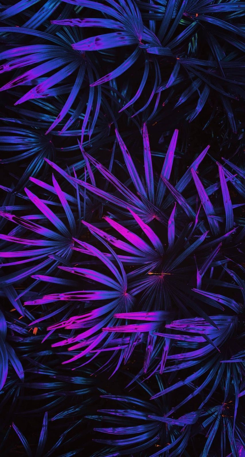 Neon Leaves Wallpapers - Wallpaper Cave