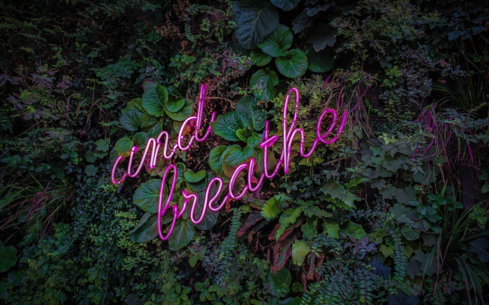 Download 1680x1050 Neon Sign, Leaves, Plants, And Breathe Wallpaper for MacBook Pro 15 inch