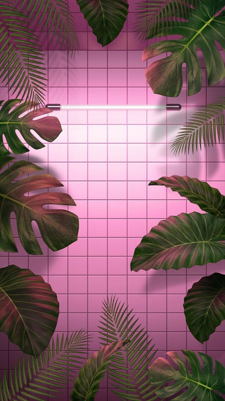 aesthetic #ariana #leaves #neon #background #plants #wallpaper #cute #grande /ent. Wallpaper iphone neon, Tumblr wallpaper, Pink wallpaper