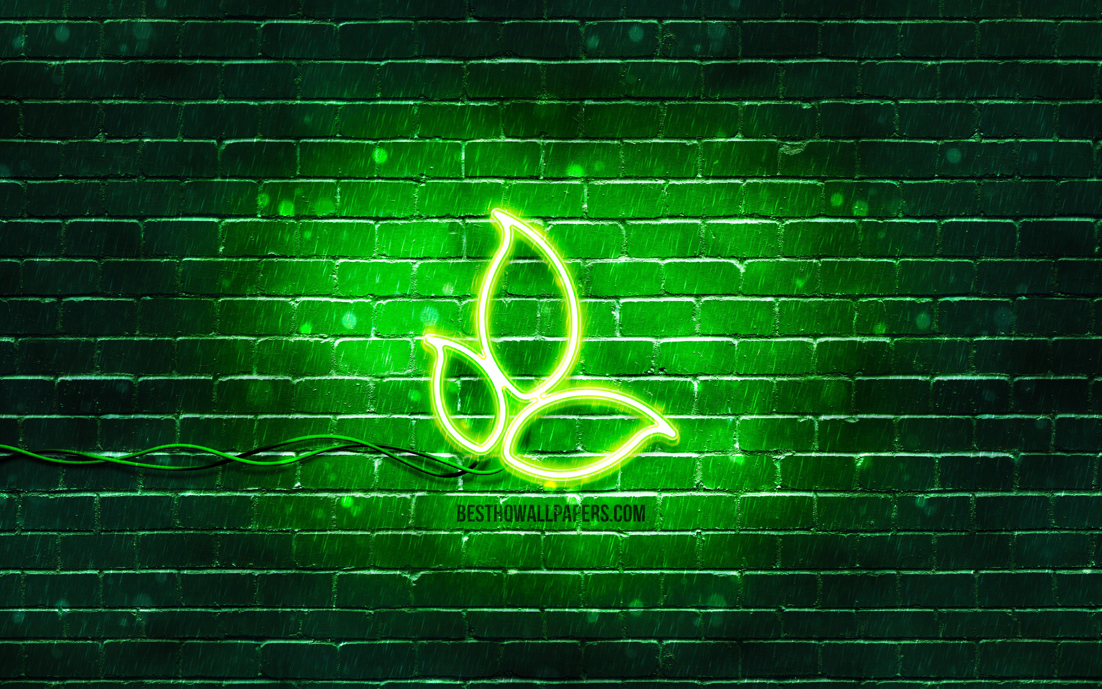 Download wallpaper Leaves neon icon, 4k, green background, neon symbols, Leaves, creative, neon icons, Leaves sign, ecology signs, Leaves icon, ecology icons for desktop with resolution 3840x2400. High Quality HD picture wallpaper