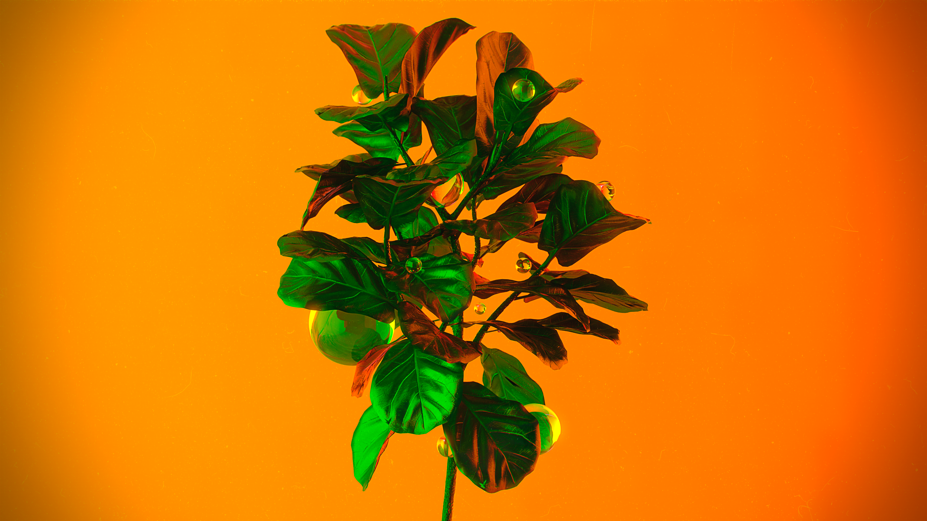 CGi Digital Art Render Rendering Neon Plants Ball Glass Leaves Wallpaper:3840x2160