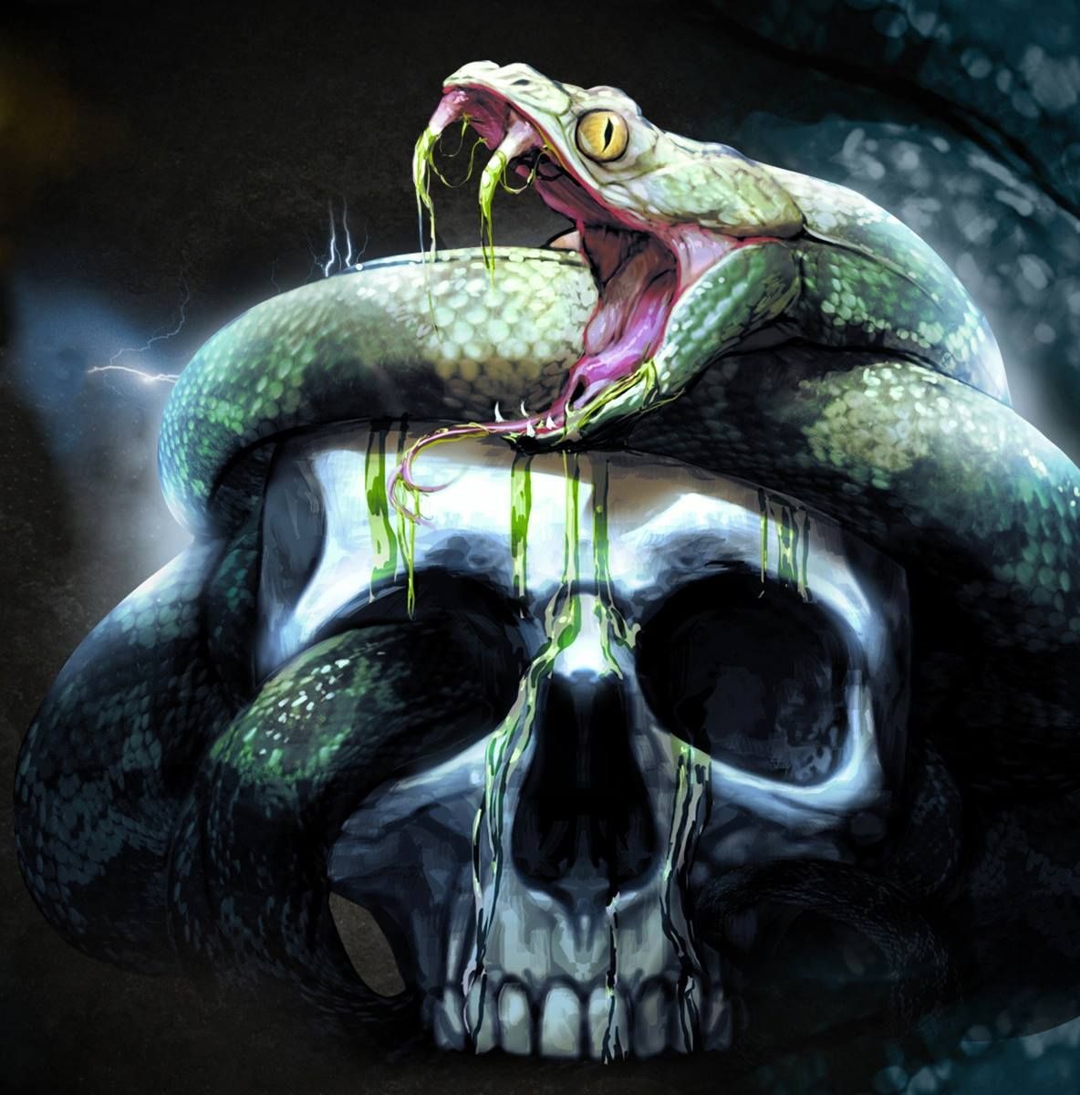 Skull And Snake Wallpapers - Wallpaper Cave