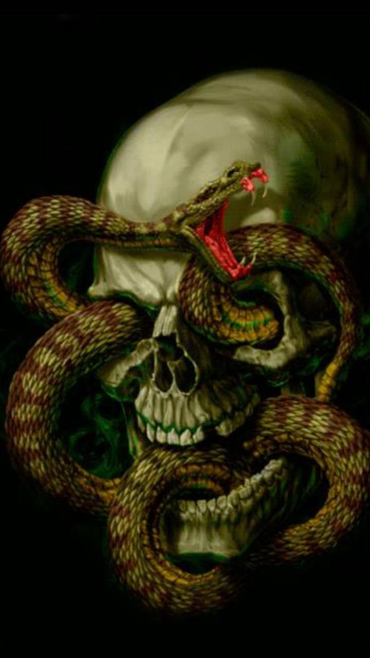 Snake and skull wallpaper