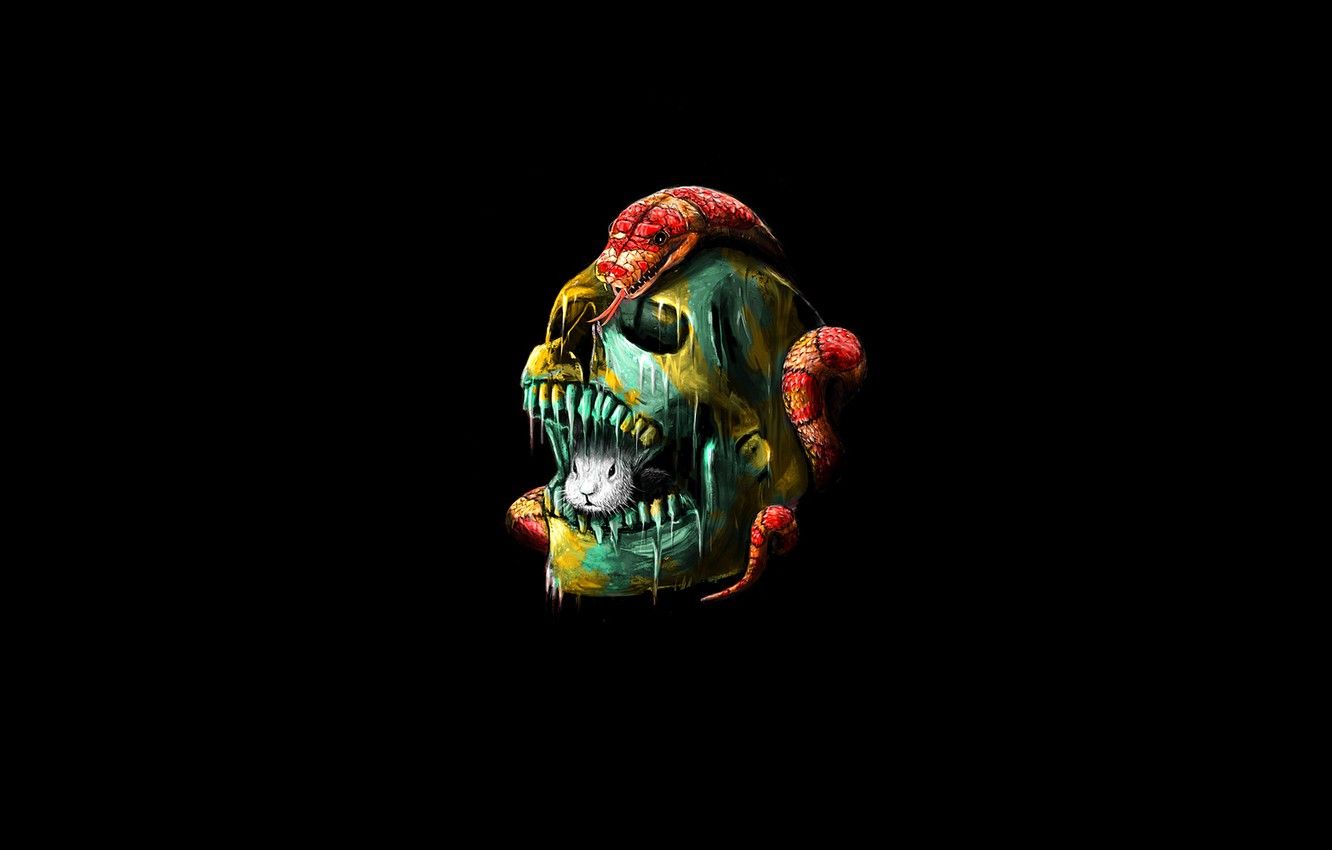 Wallpaper skull, snake, rabbit, sake image for desktop, section минимализм