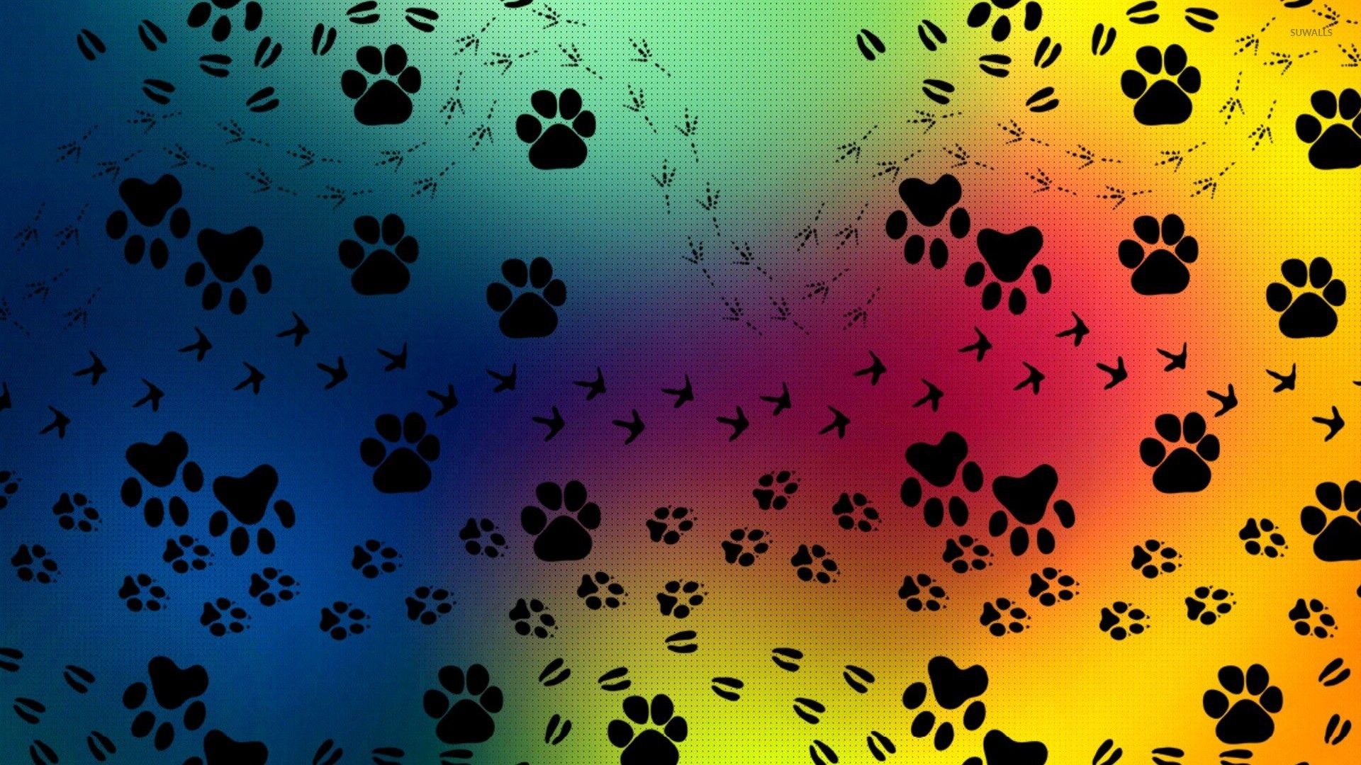 Dog Paw Ying Yang Wallpaper Rainbow