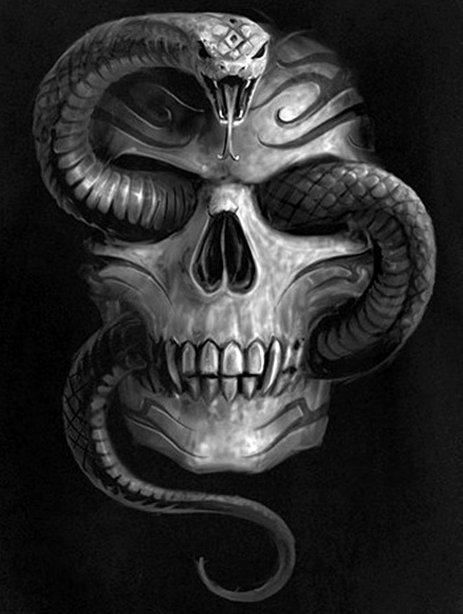Serpiente by calavera. Skull artwork, Skull, Skull wallpaper