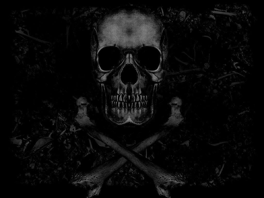 Skull and Bones Wallpaper Free Skull and Bones Background
