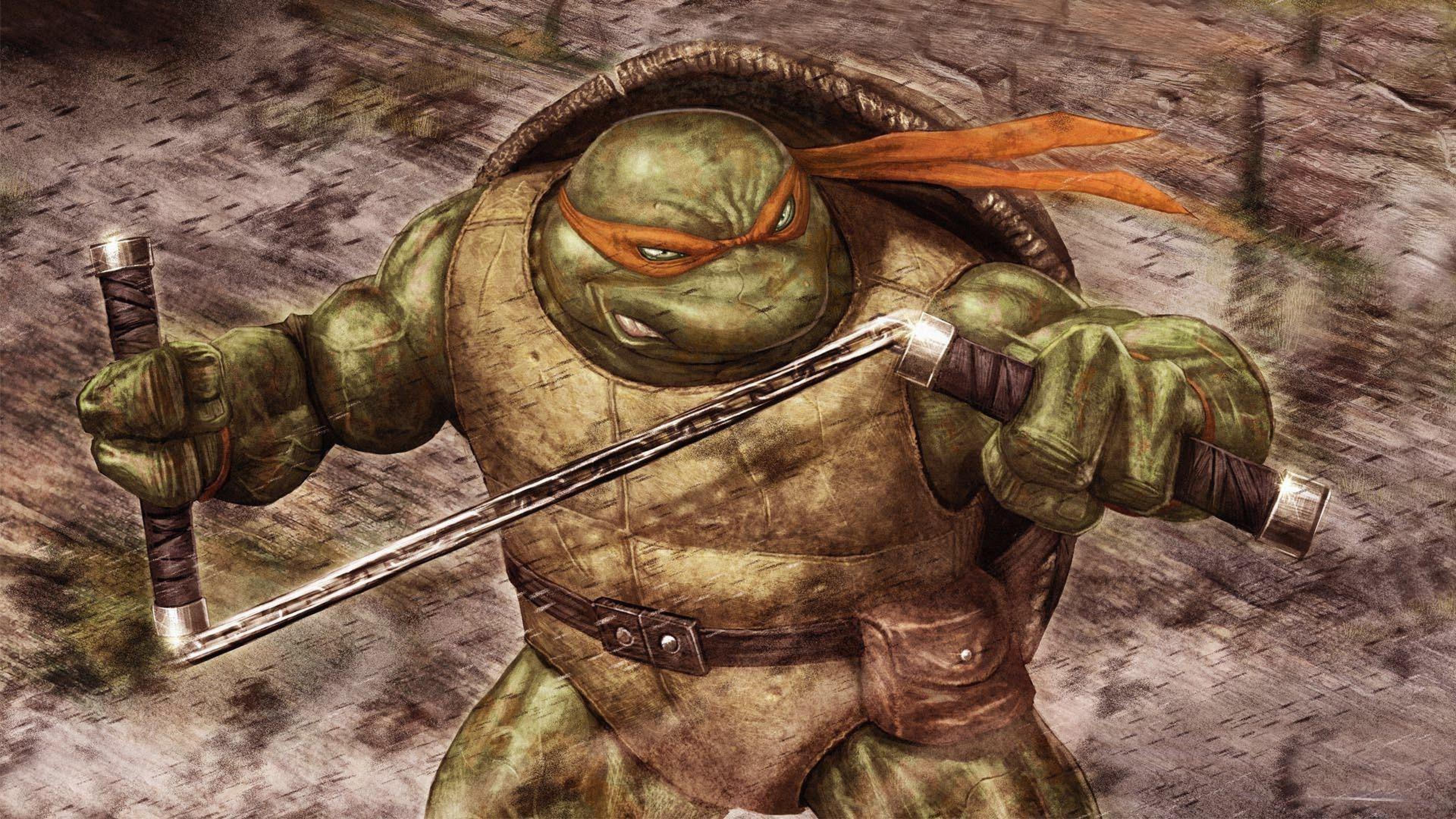Michelangelo teenage mutant ninja turtles Mutant Ninja TMNT Comics