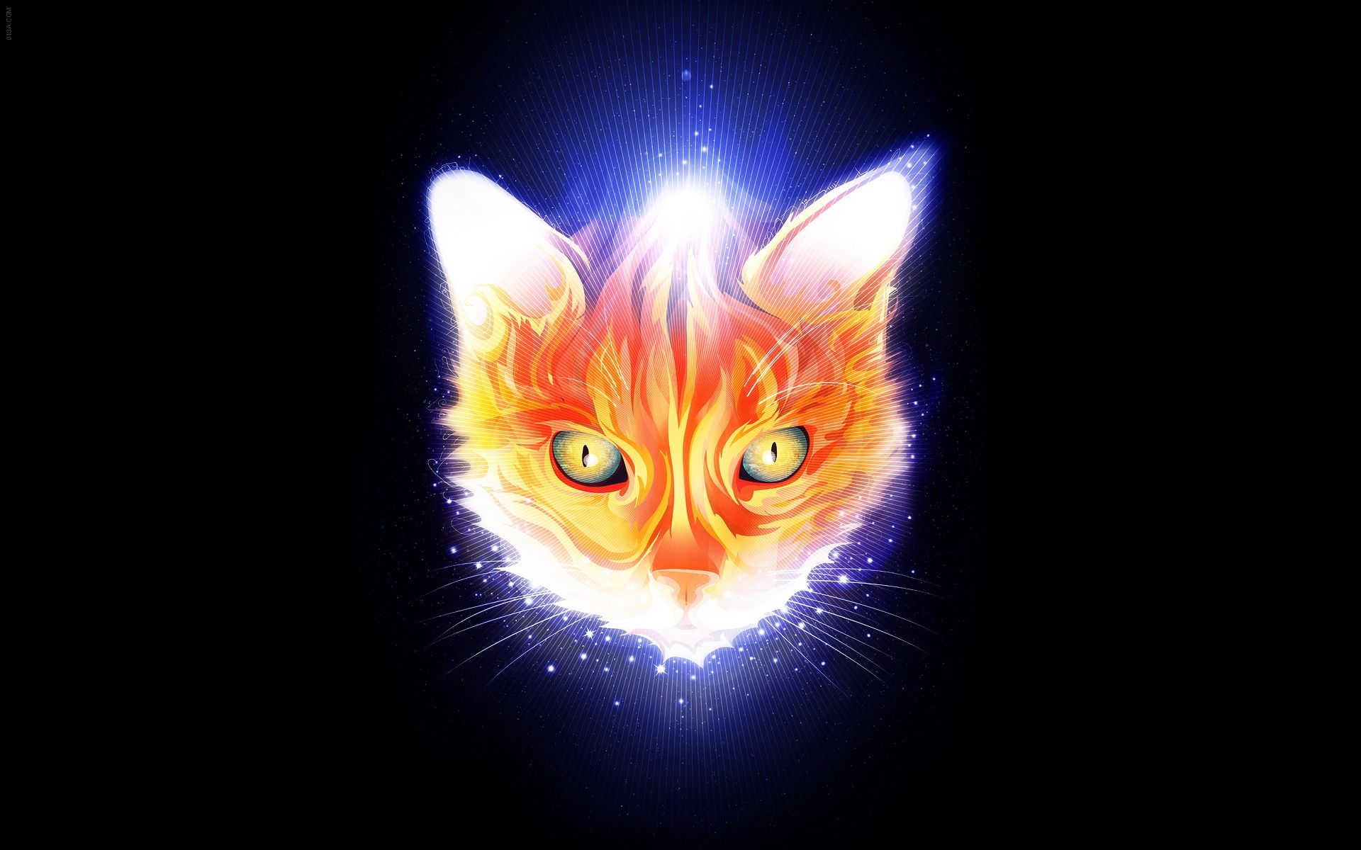 abstract, cats, animals, glowing, artwork, lines, black background, Matei Apostolescu wallpaper