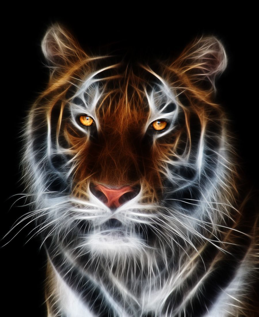 Glowing Tiger Cross Stitch Mock Up. Animals, Animal Wallpaper, Animals Beautiful