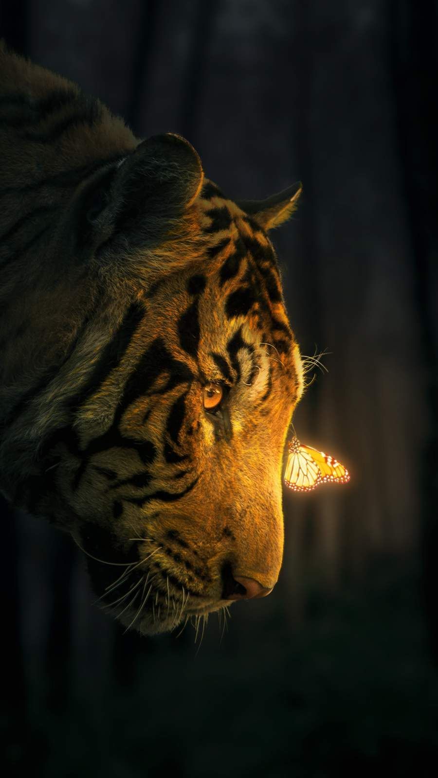 Glow in the Dark iPhone Wallpaper. Tiger wallpaper, Wild animal wallpaper, Tiger wallpaper iphone