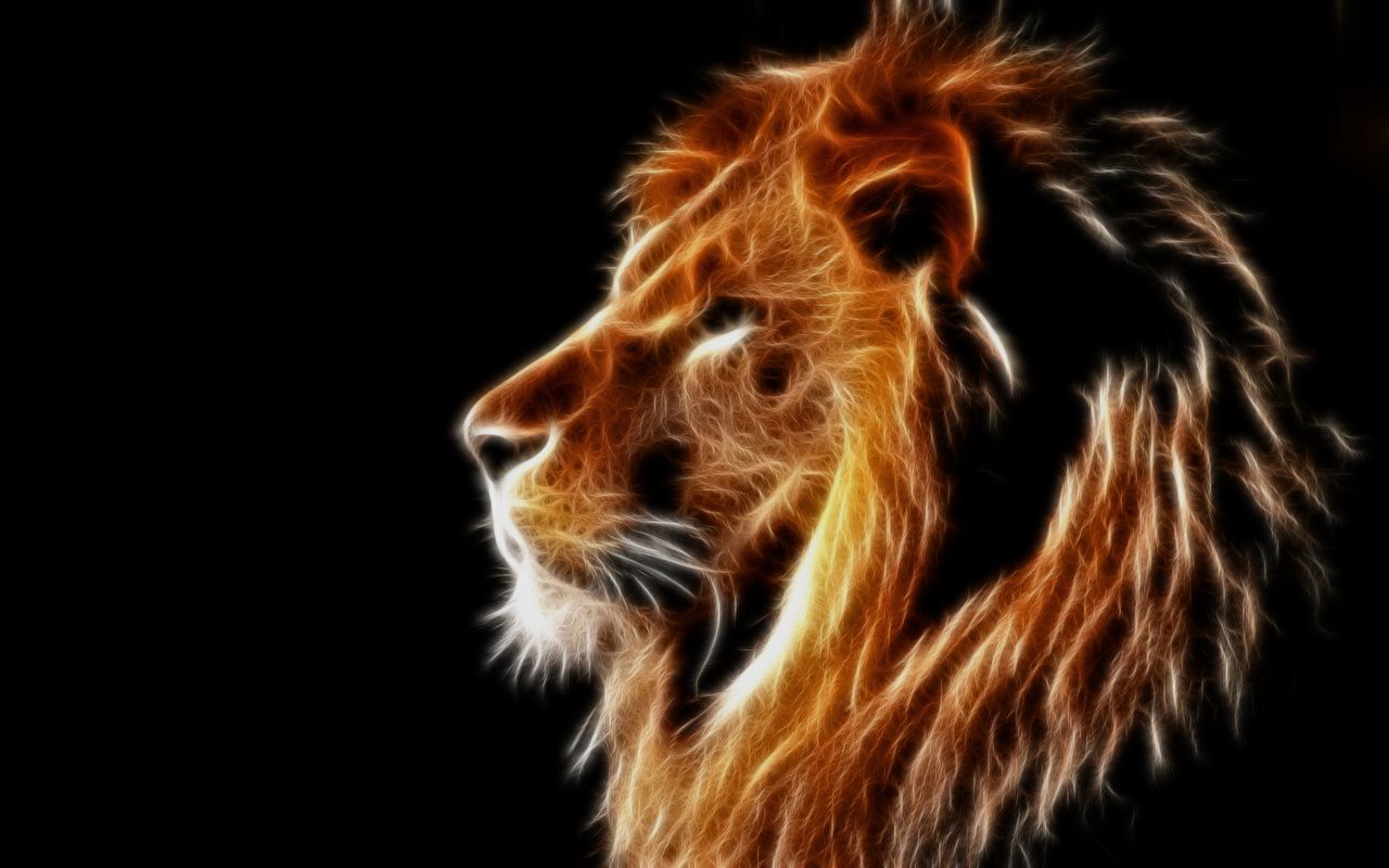 Wallpaper Lions Big cats 3D Graphics Head animal