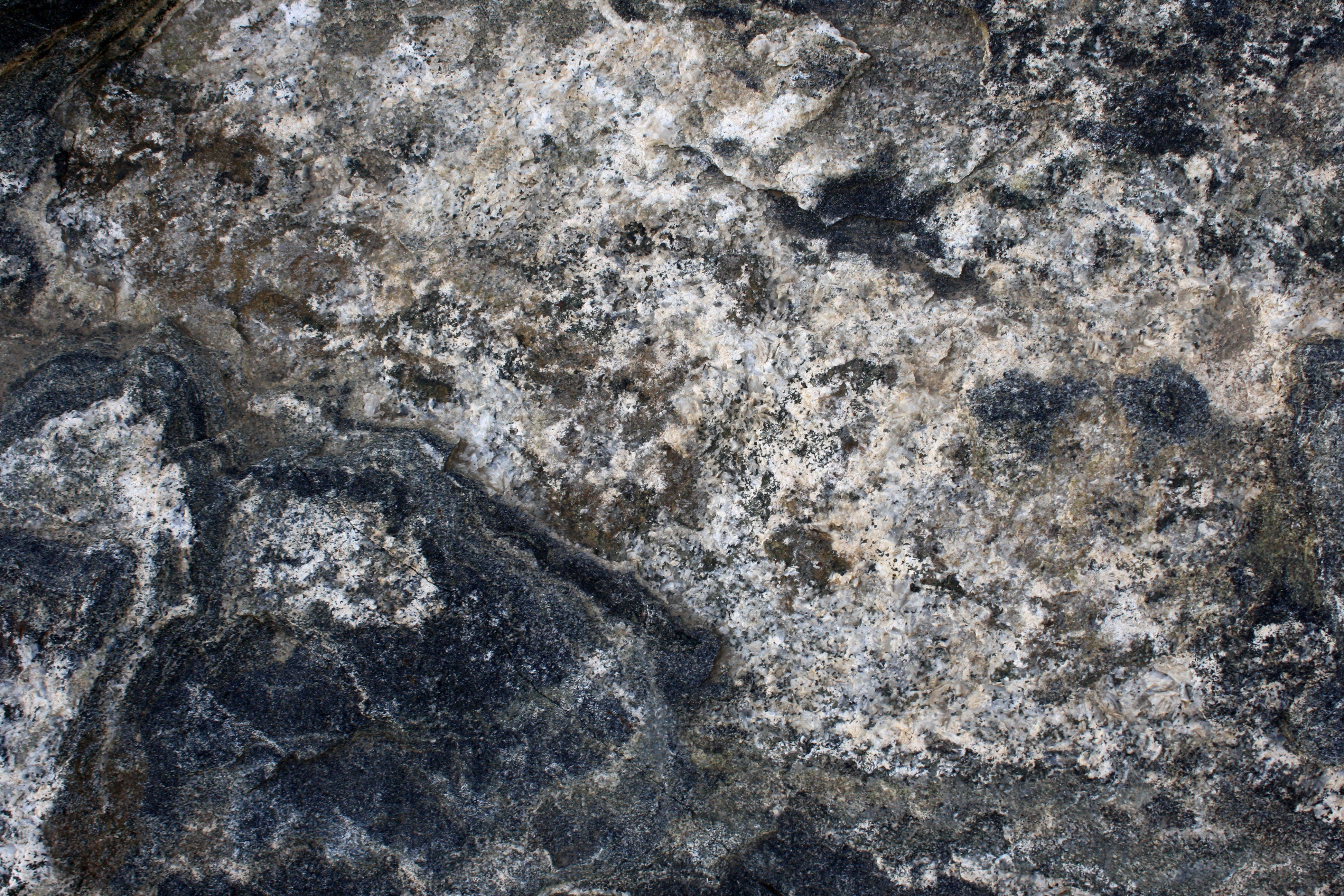 Black and White Metamorphic Rock Texture Picture. Free Photograph. Photo Public Domain