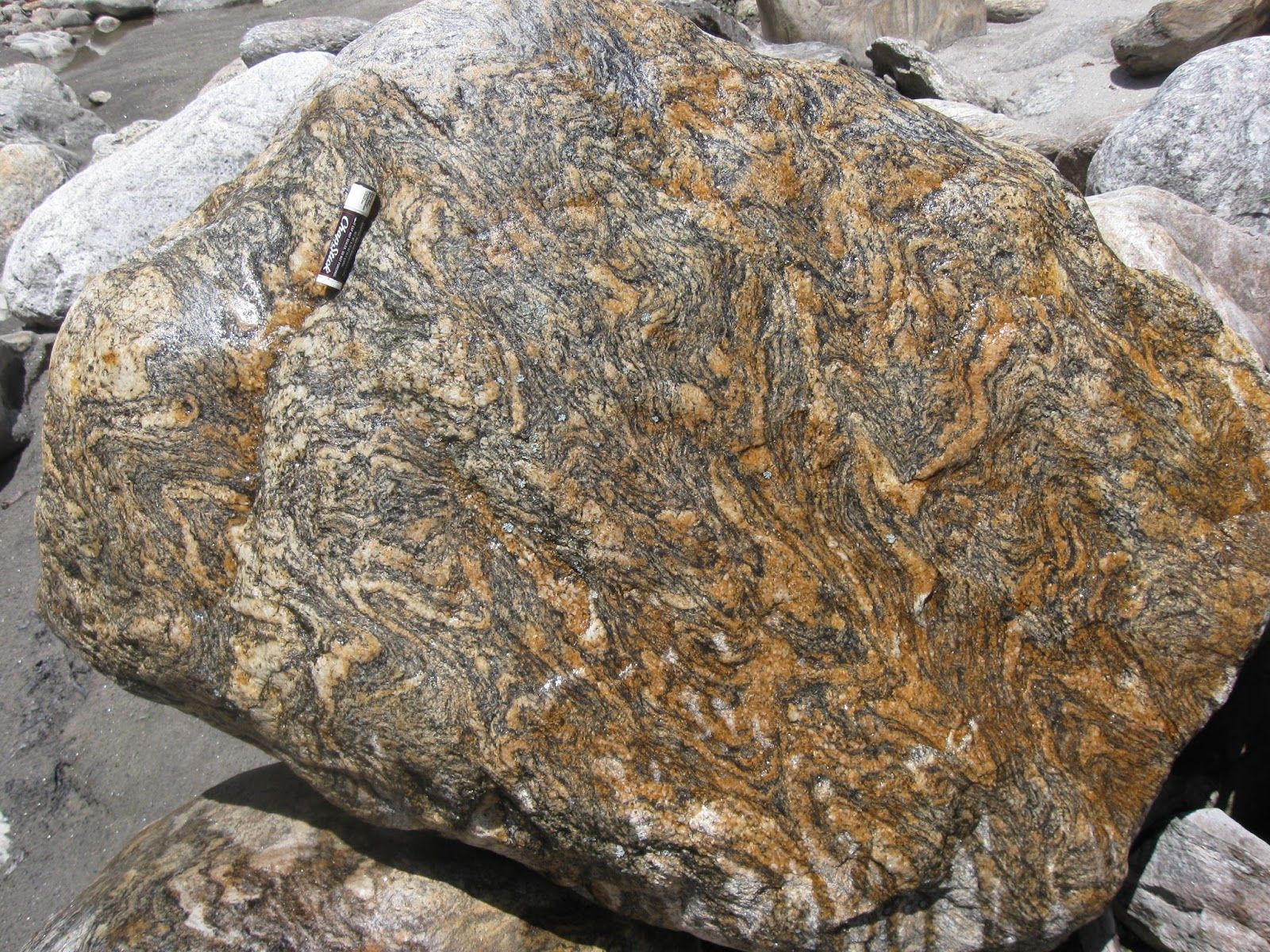 A Miocene Migmatitic Gneiss, a mixed rock of a metamorphic host & newly formed igneous rock, of the Greater Himalayan Sequ. Metamorphic, Metamorphic rocks, Gneiss