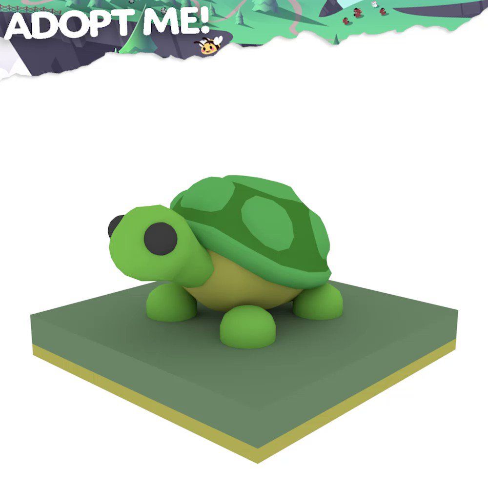 Turtle name idea's. Pet adoption certificate, Pet store ideas, Pets drawing