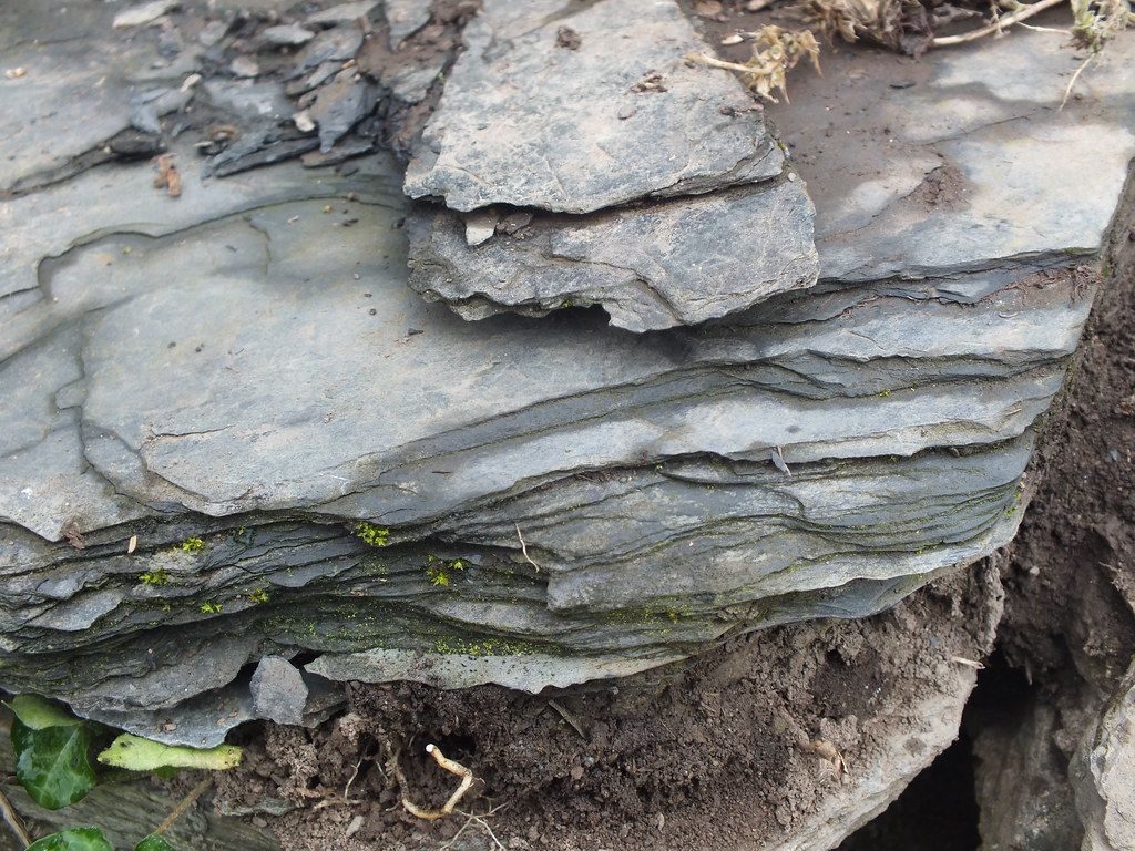 Slate or Shale in garden. sedimentary or metamorphic rock