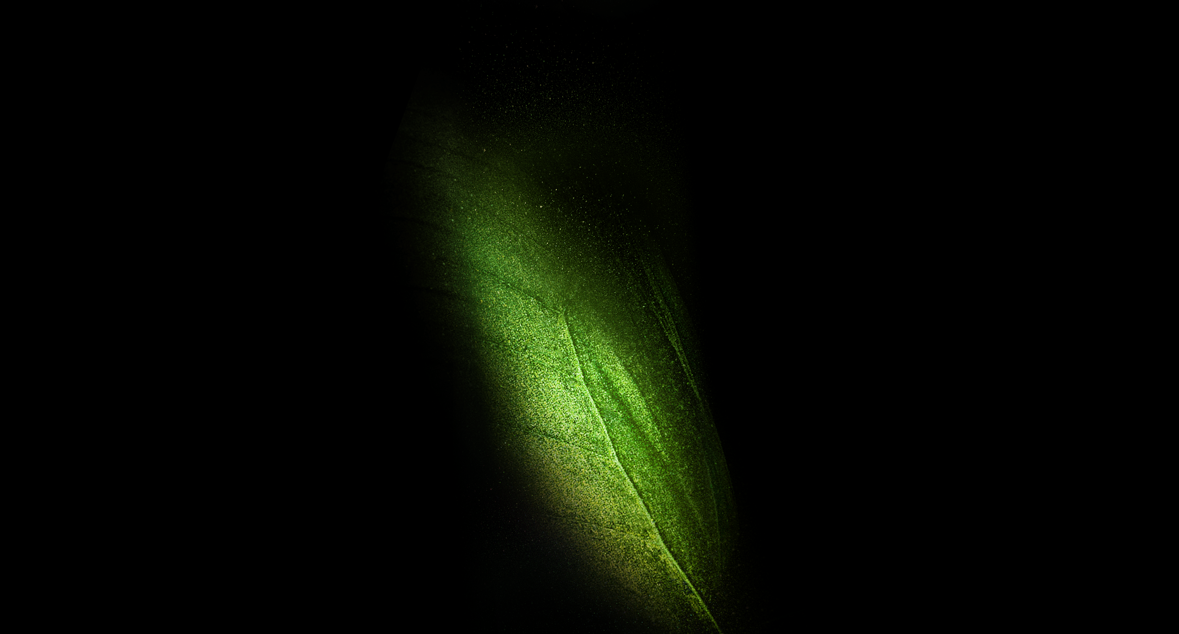 Green butterfly wing on black background logo samsung galaxy fold wallpaper and image, picture, photo