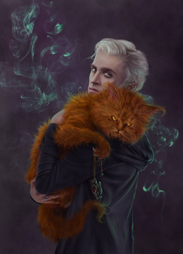 Crookshanks And Draco By Just Orson. Harry Potter Artwork, Harry Potter Draco Malfoy, Harry Potter Illustrations