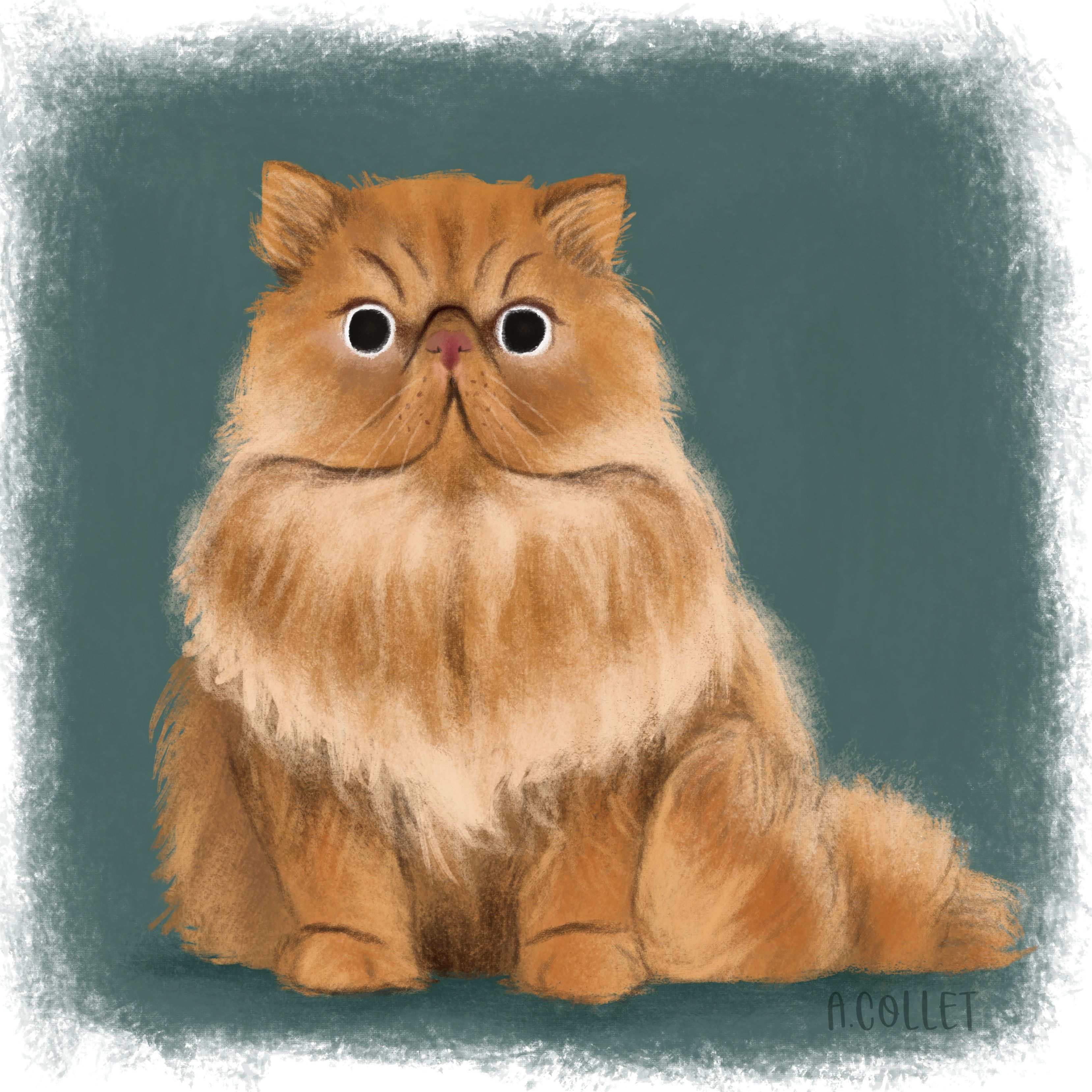 Crookshanks. Cat sketch, Crookshanks, Hermione's cat
