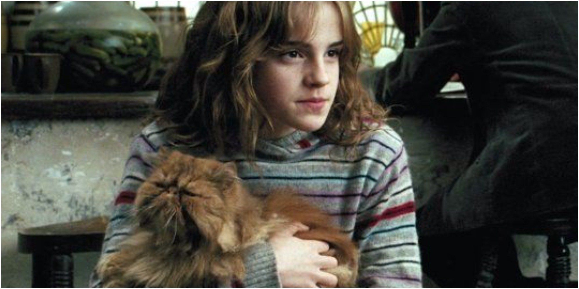 Harry Potter: 10 Times Crookshanks Was The Best Pet. ScreenRant. Harry potter characters, Harry potter universal, Harry potter picture