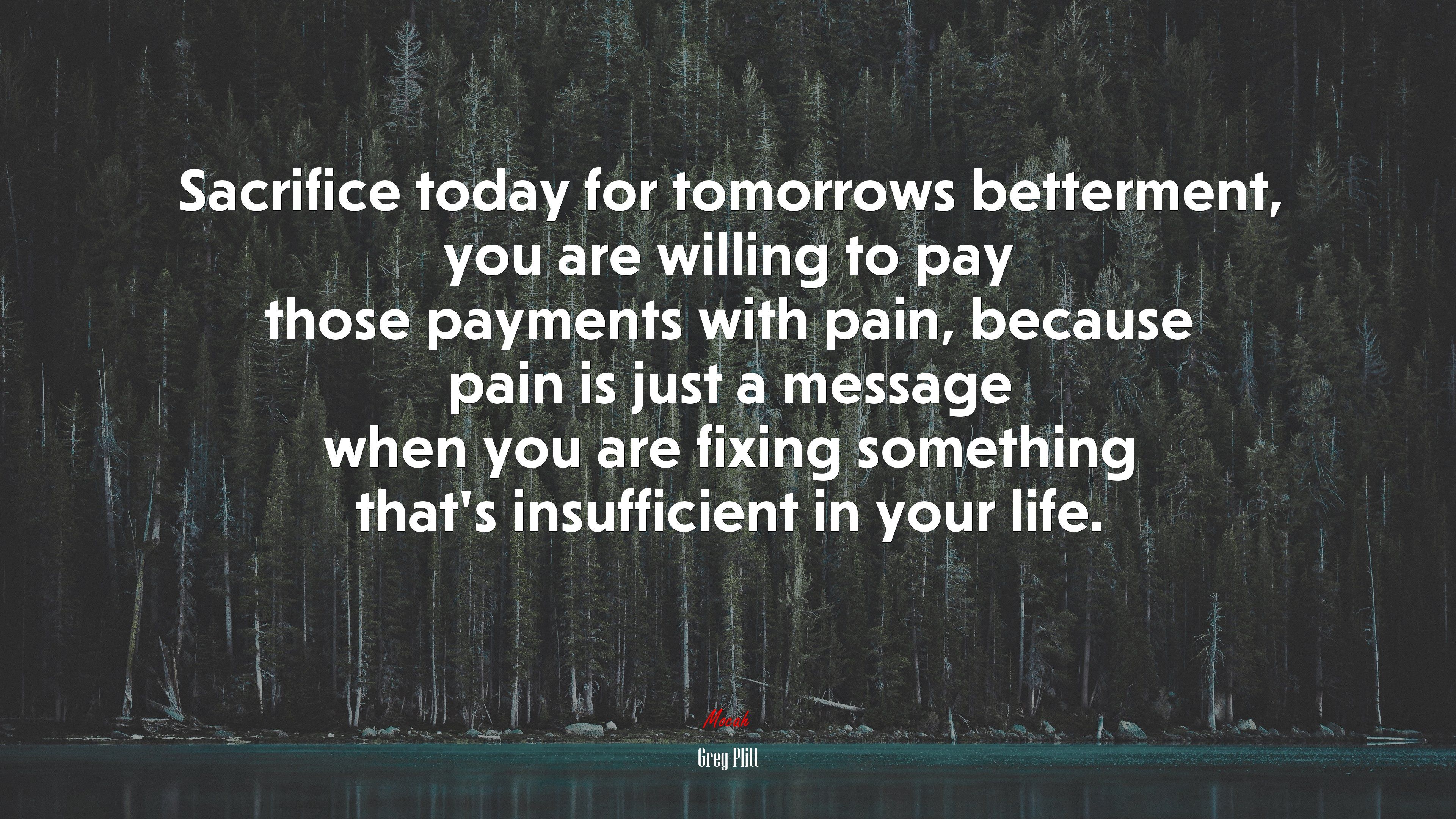 Your comfort zone is your danger zone. Greg Plitt quote, 4k wallpaper. Mocah HD Wallpaper