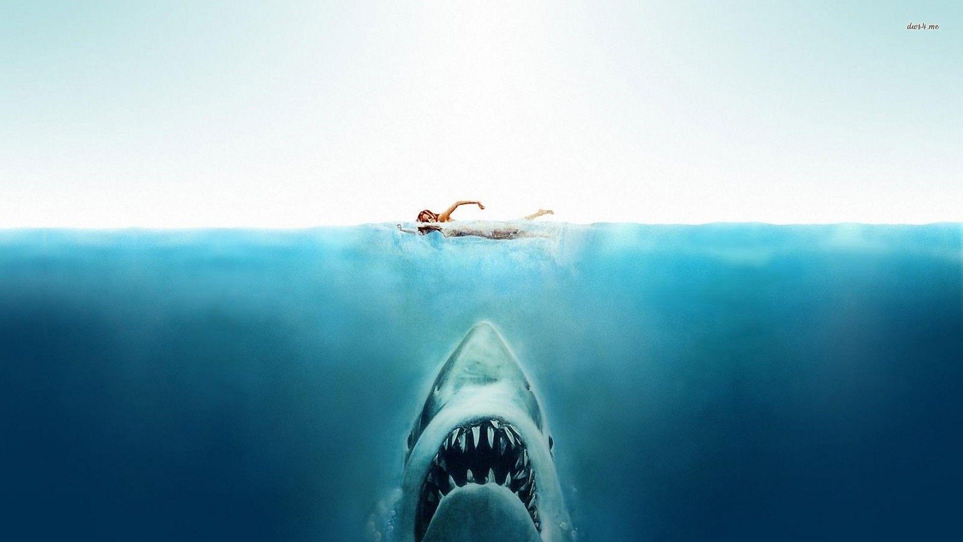 Jaws Wallpaper. Jaws Wallpaper, Shark Jaws Wallpaper and Jaws Wallpaper Fisherman