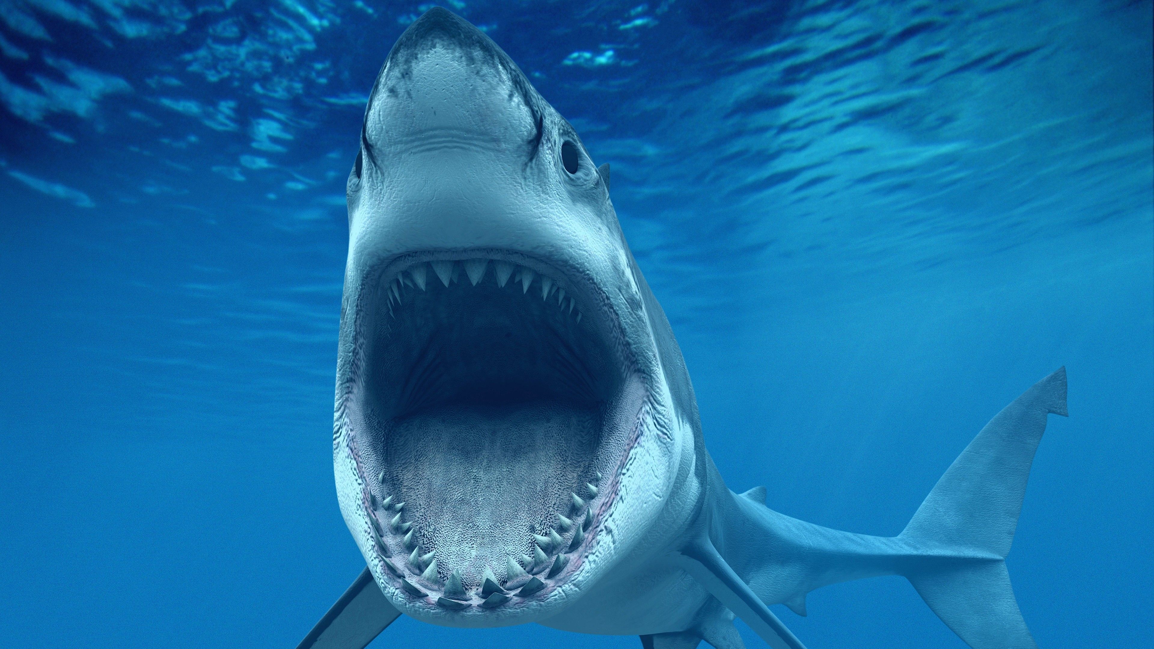 3D Shark Jaws Wide Open Wallpaperx2160