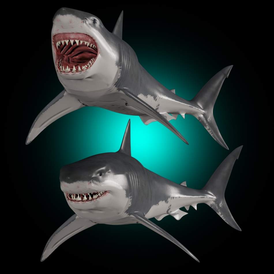 JAWS Great White Shark 3D Model
