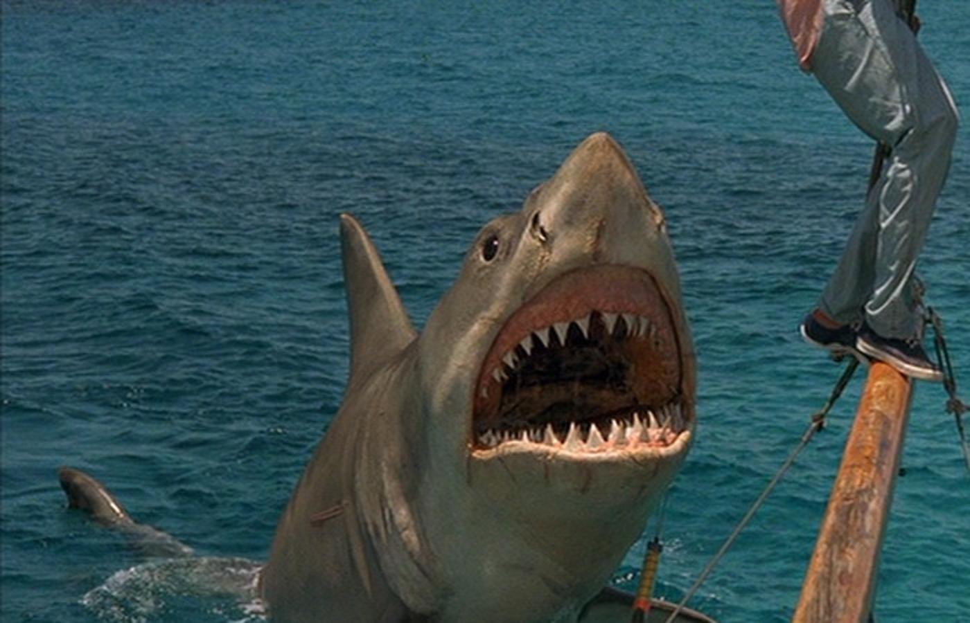 Jaws wallpaper, Movie, HQ Jaws pictureK Wallpaper 2019
