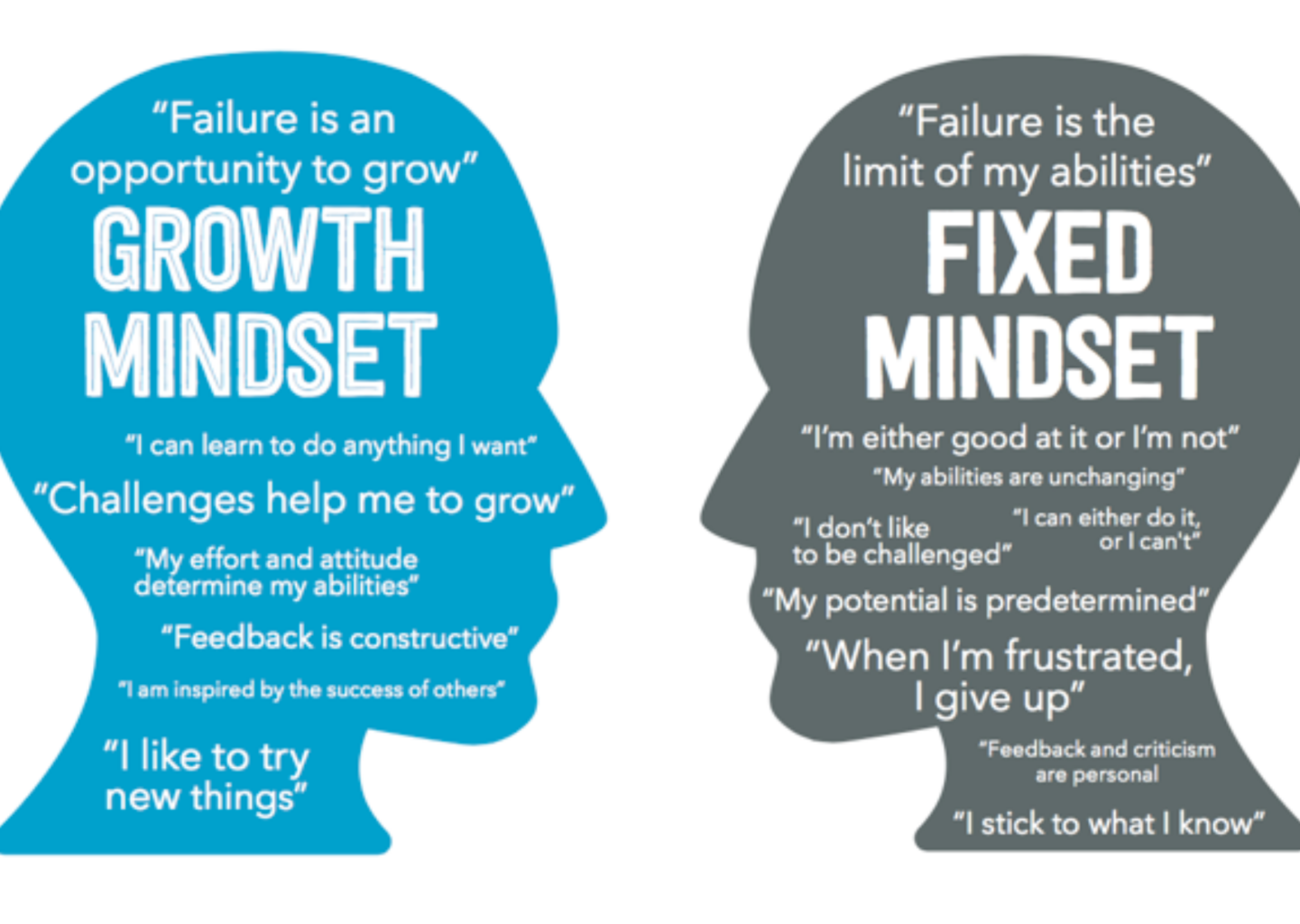 The Differences Between A Growth Mindset And A Fixed Mindset