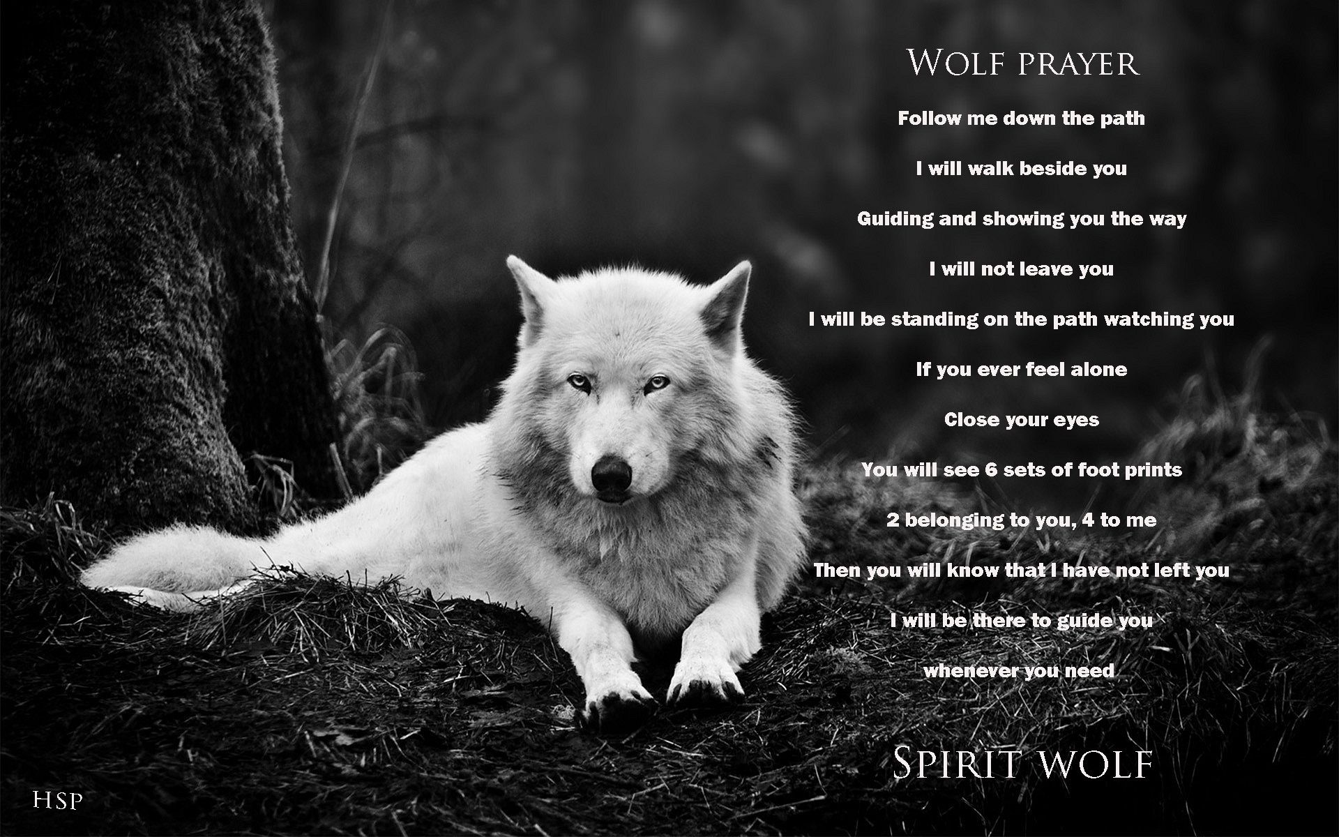 Wolf Background Quotes. QuotesGram