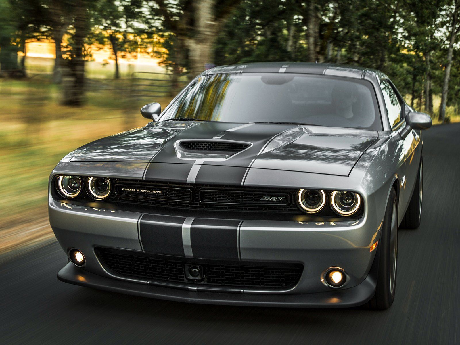 Dodge Muscle Cars  View Our Muscle Car Lineup