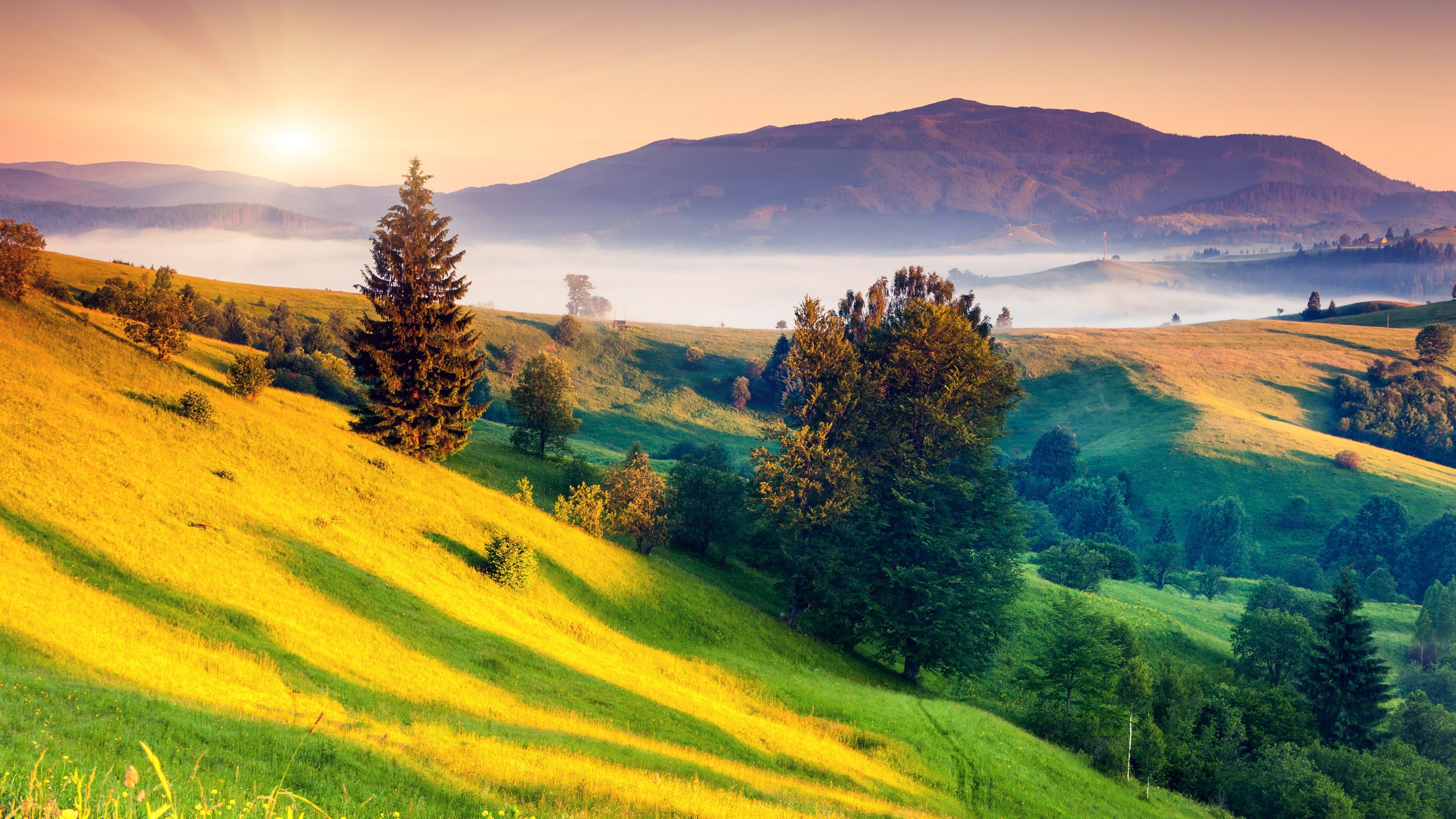 Nature Beauty 4k Wallpapers Wallpaper Cave