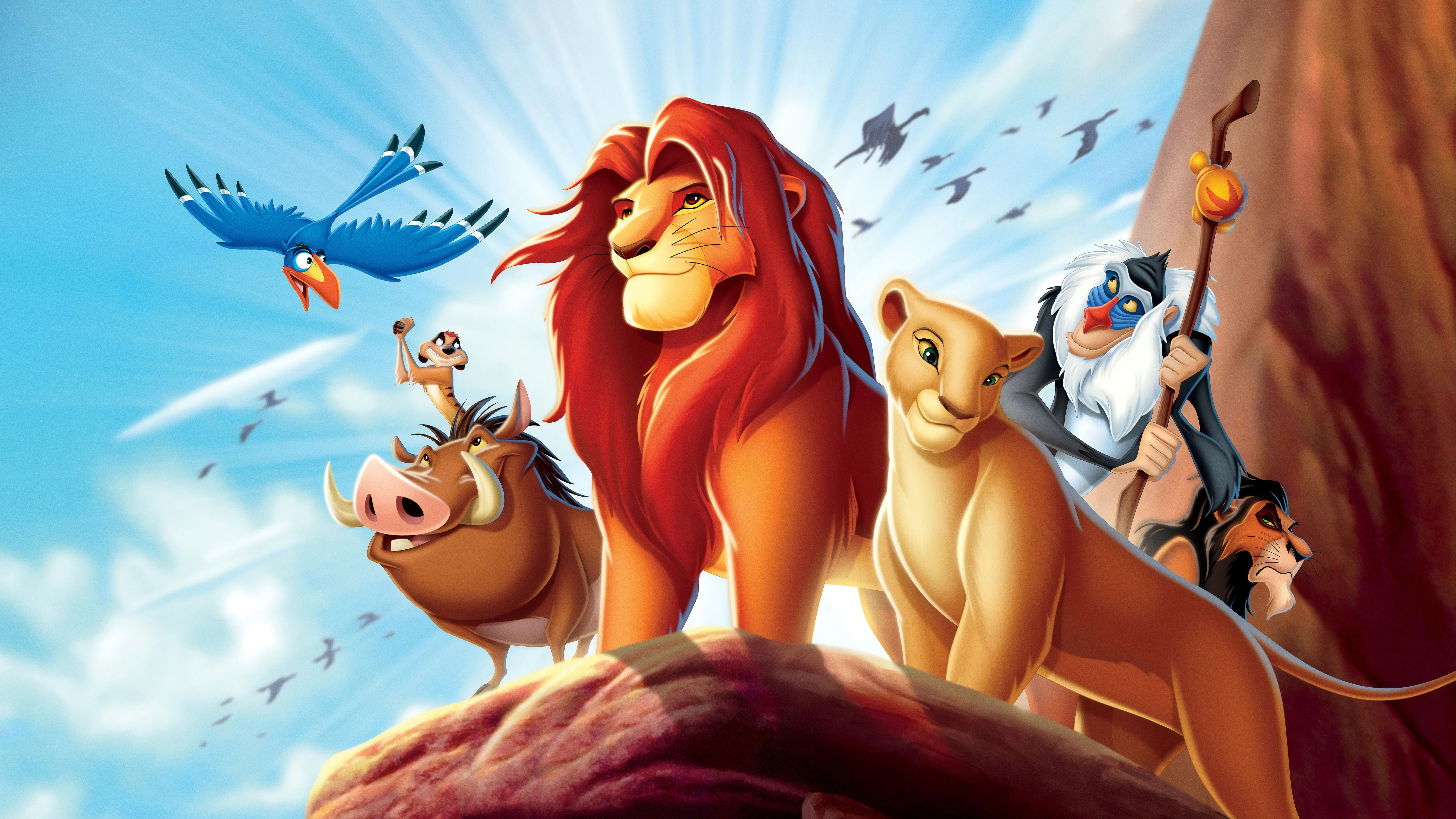 Cute Lion King Wallpaper